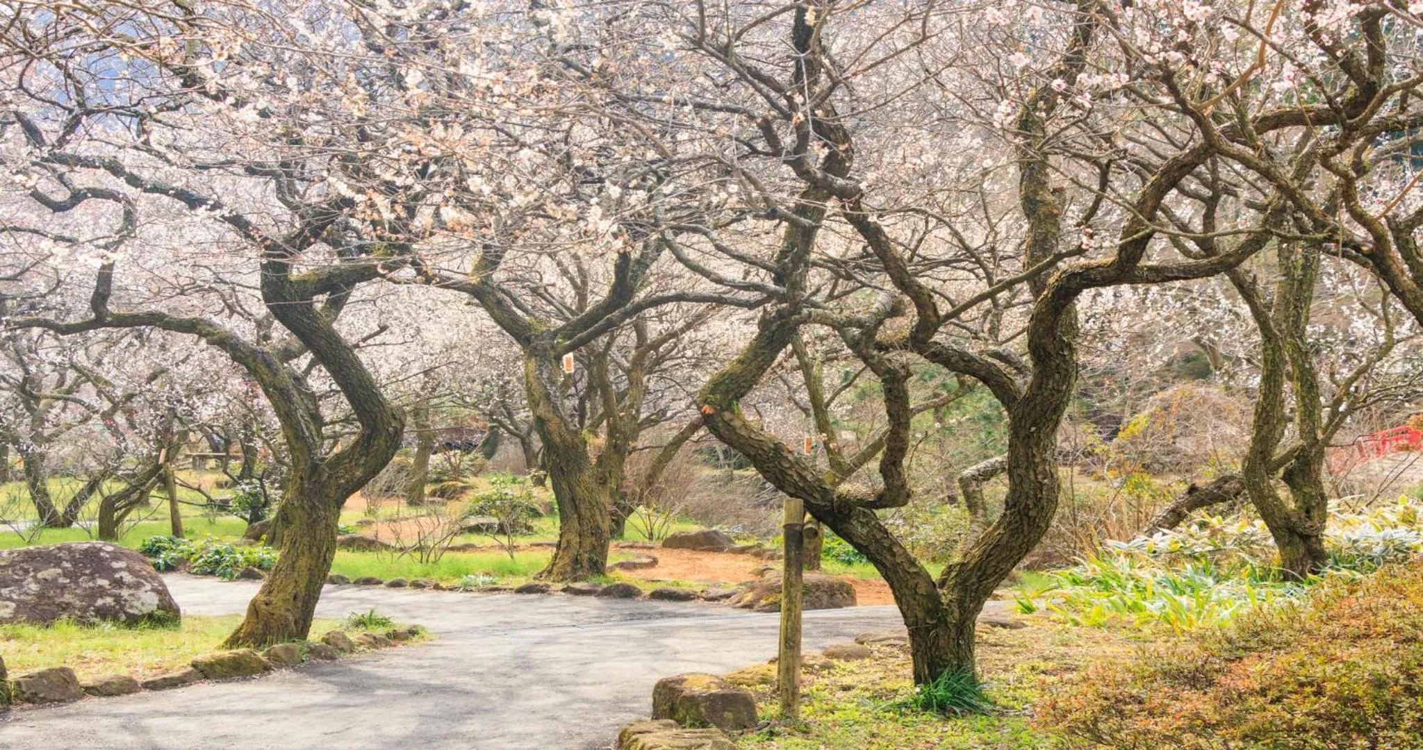 Nearby landmark in KAMENOI HOTEL Atami