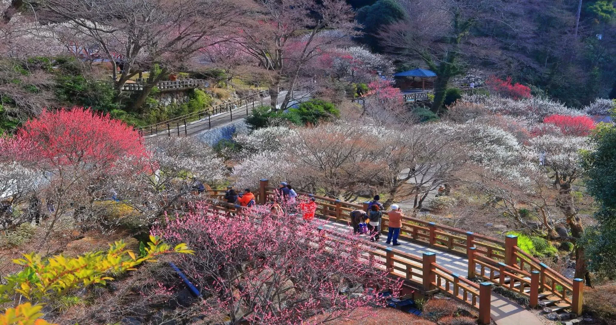 Nearby landmark in KAMENOI HOTEL Atami