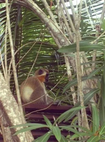 Other in The Legend Garden Condos