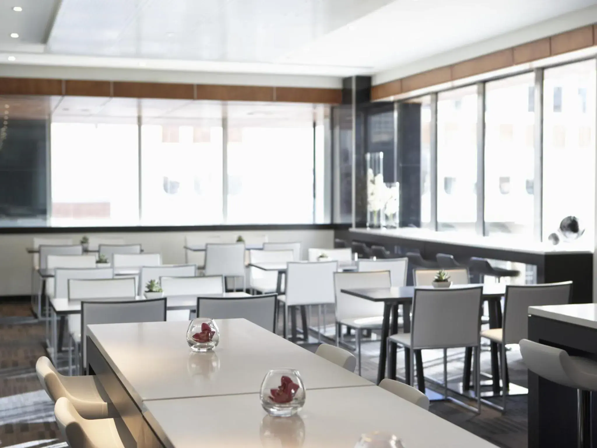 Restaurant/places to eat in Hotel Le Germain Calgary Restaurant/places to eat in Hotel Le Germain Calgary