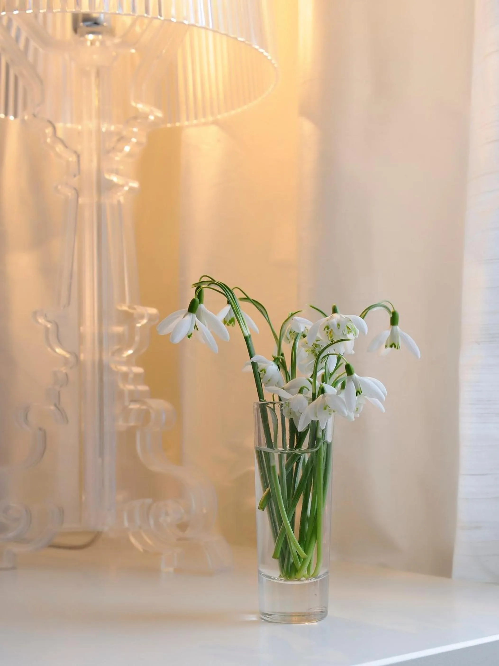 Decorative detail in Lion & Pheasant Hotel