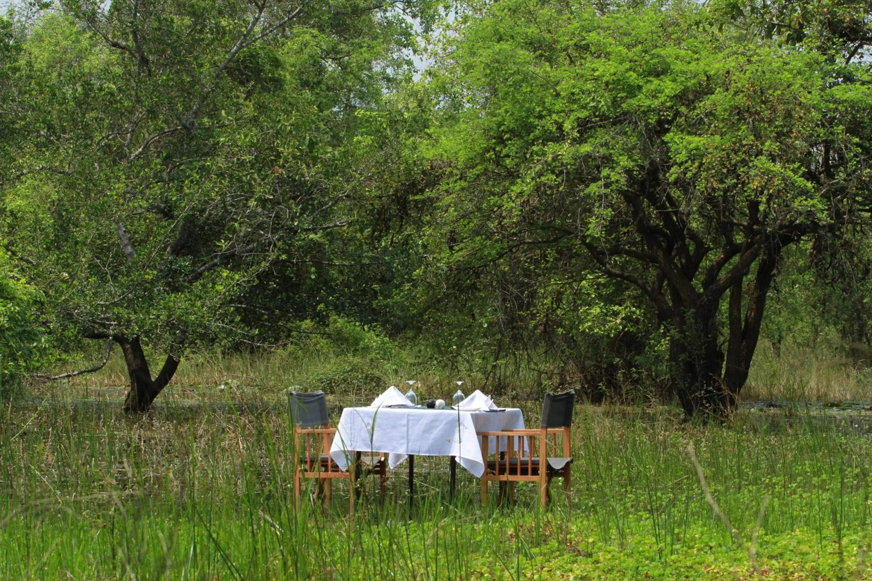 Breakfast in Mahoora Wilpattu - by Eco Team