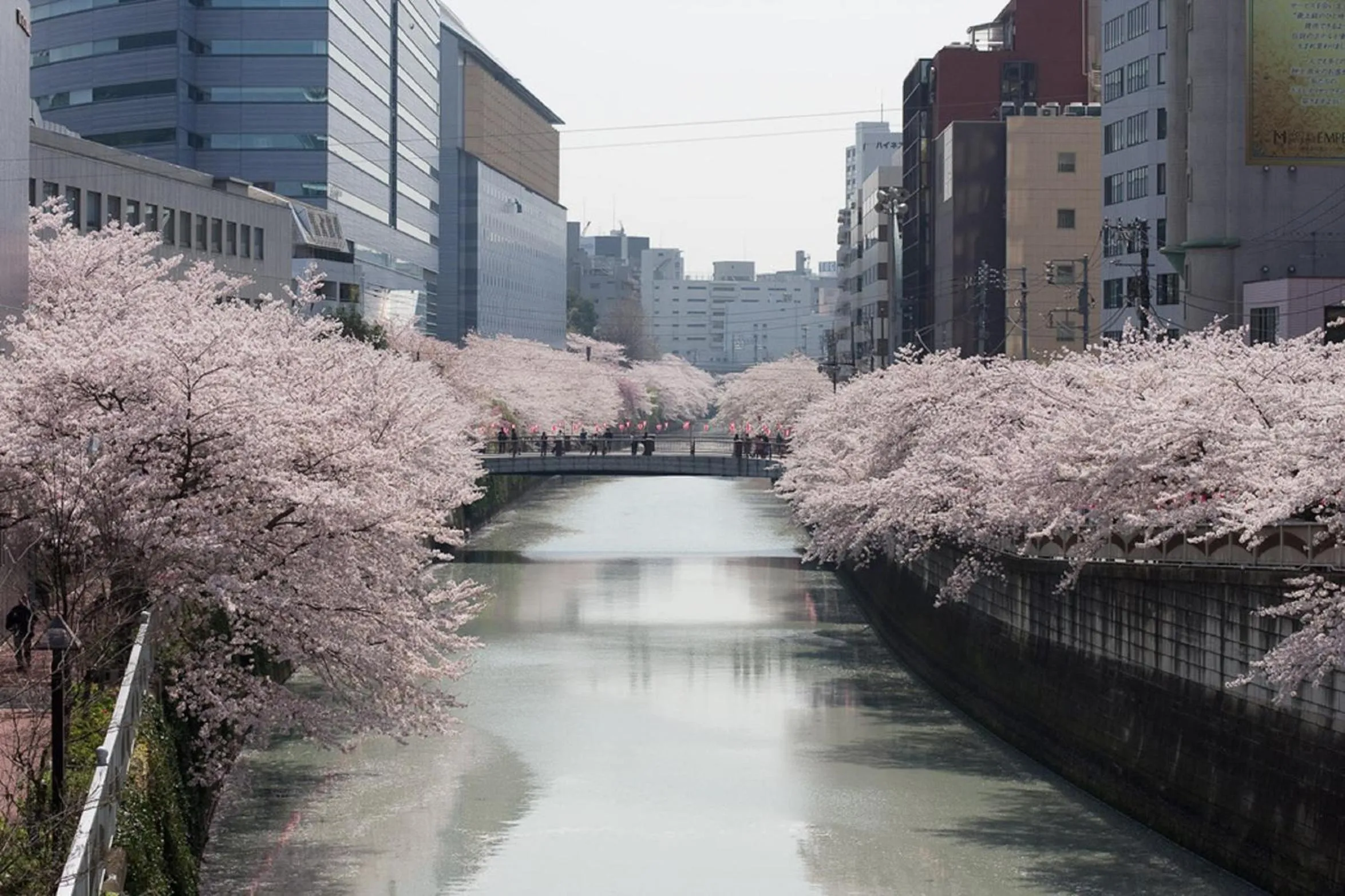 Off site in Hotel Mid In Meguro Ekimae