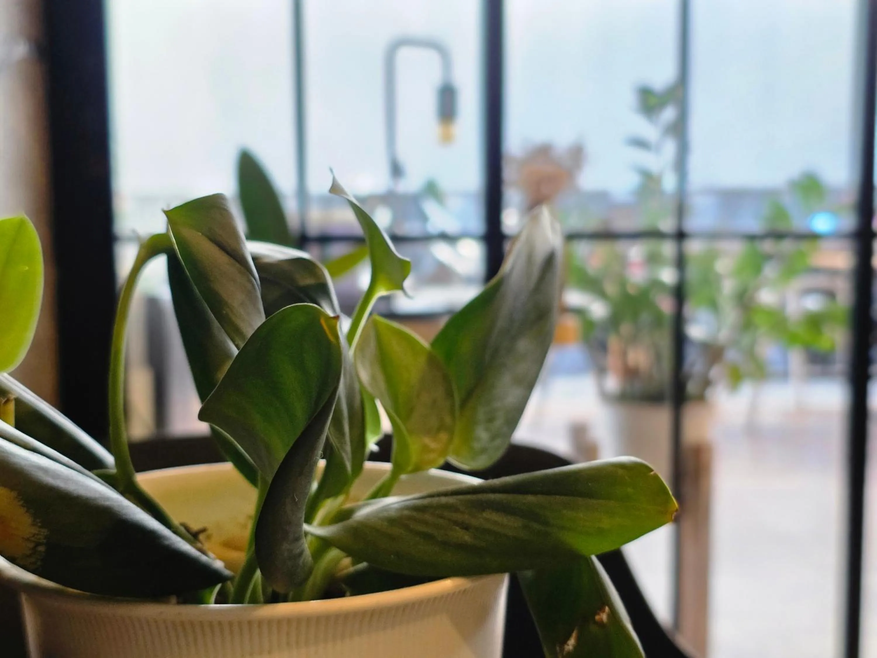 TT Naiyang Beach Phuket