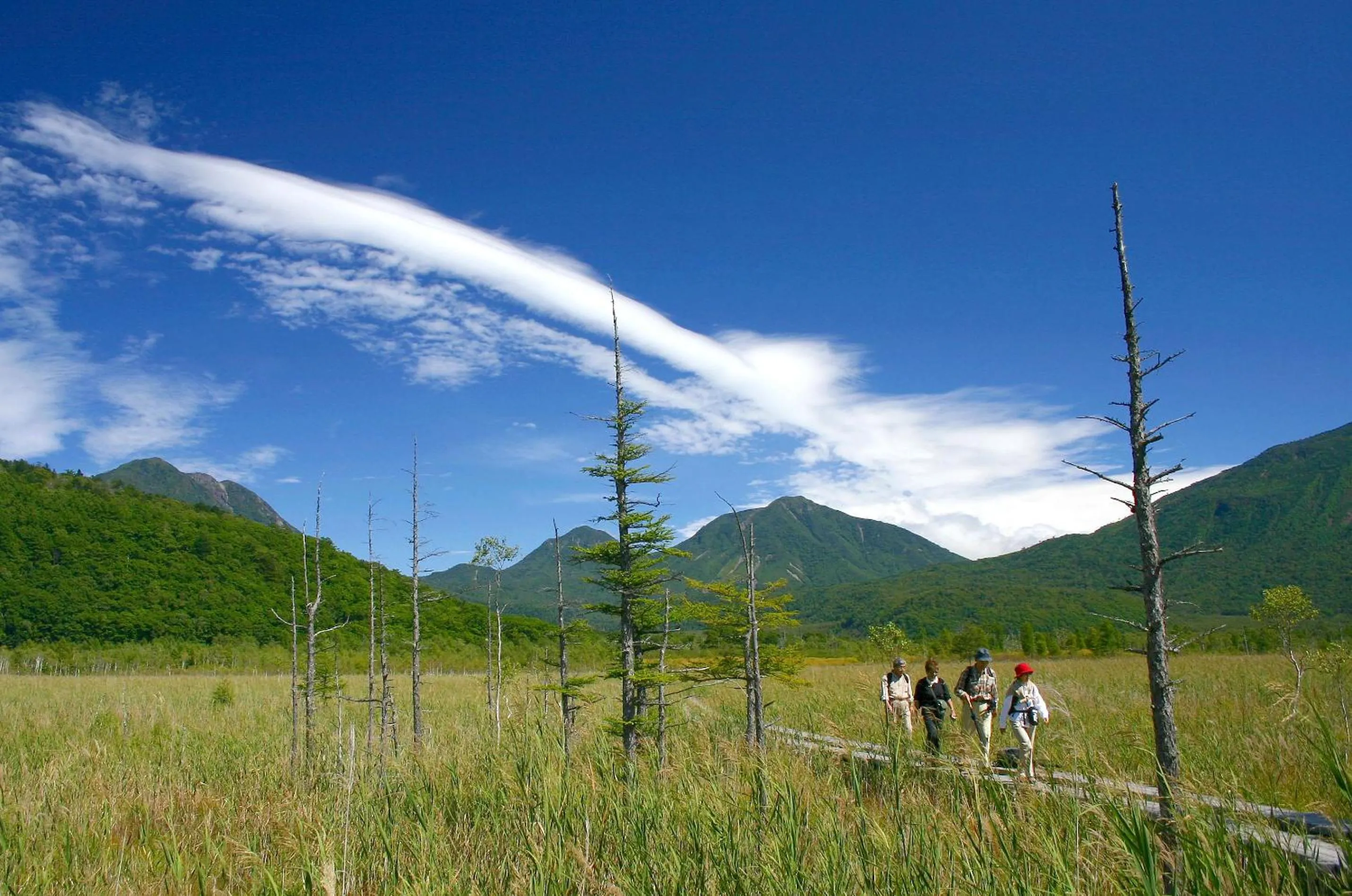 Other in Nikko Pension L'escale