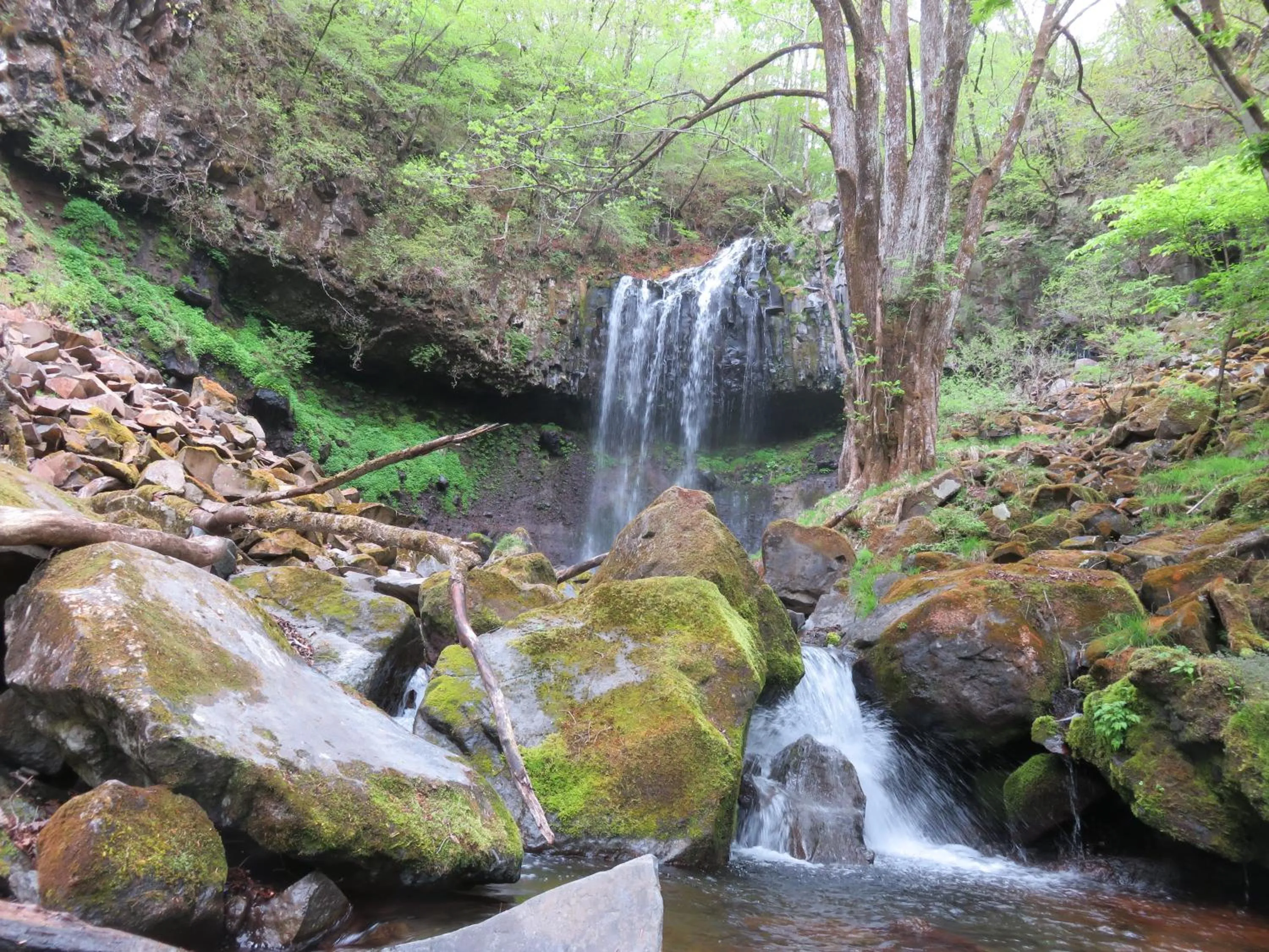 Summer in Nikko Pension L'escale