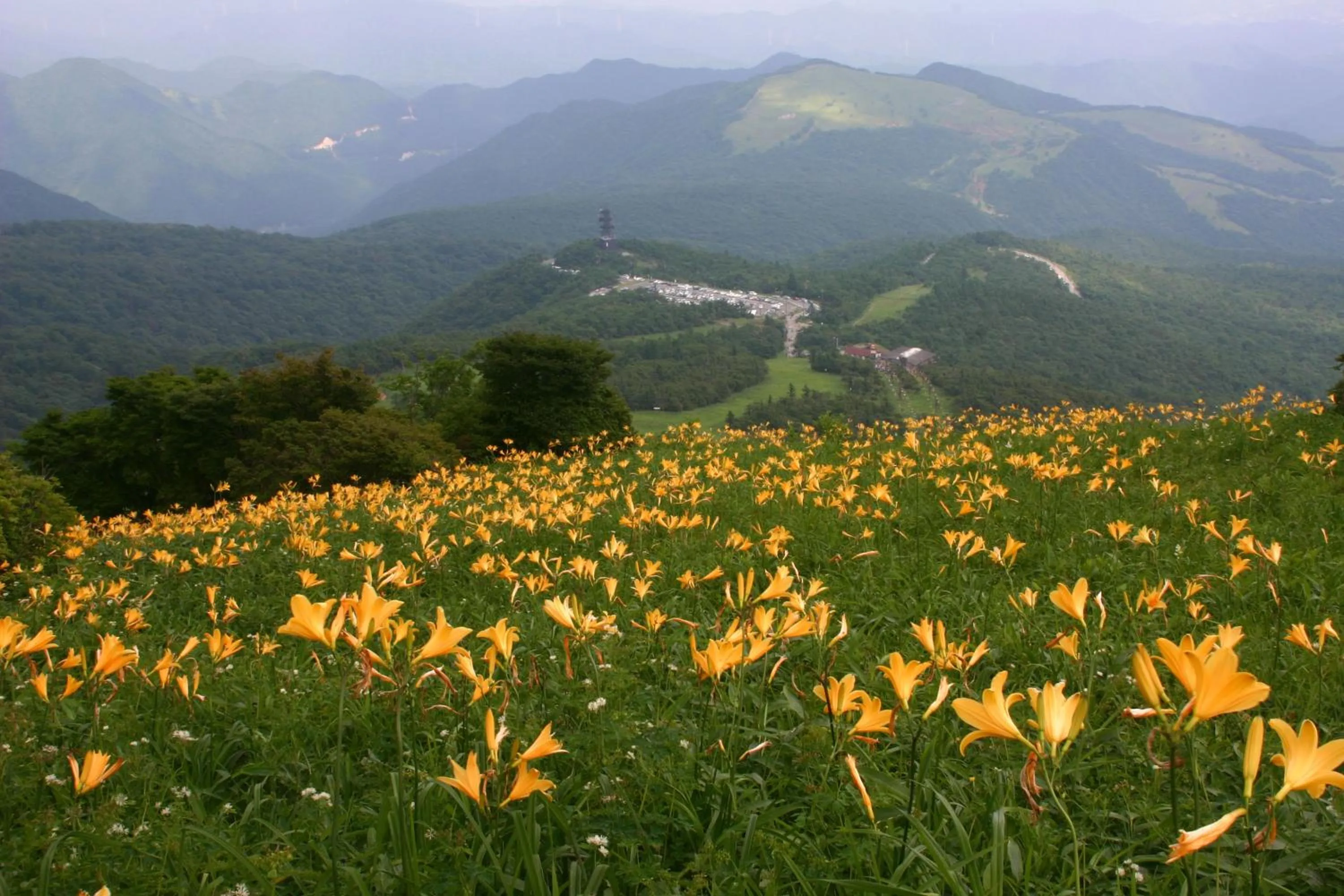 Other in Nikko Pension L'escale