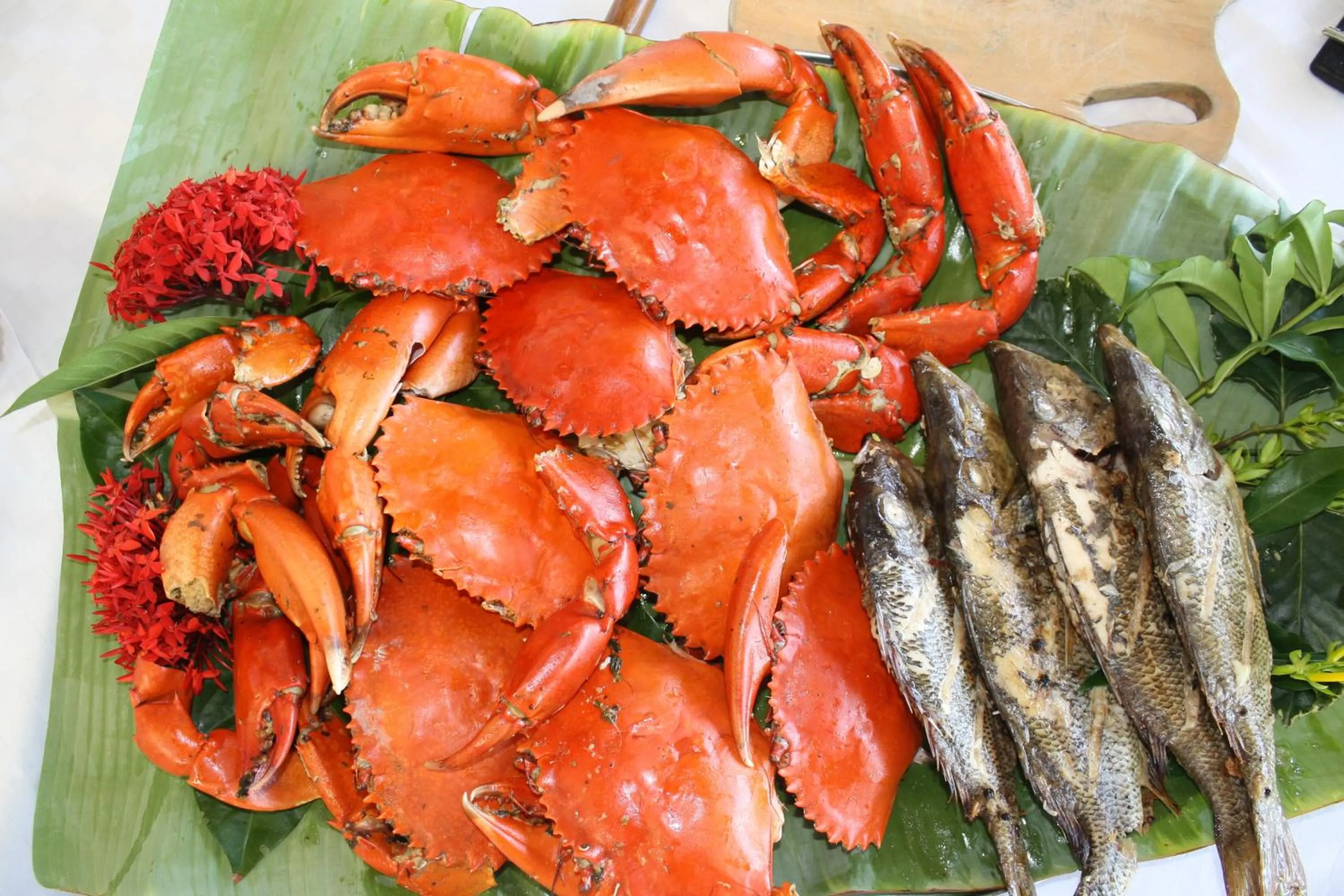 Food and drinks in Shimoni Reef Lodge