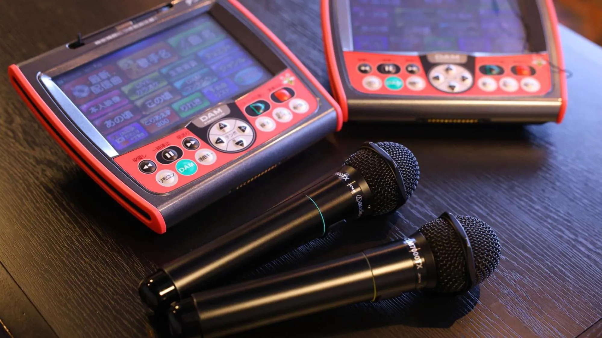 Karaoke in Ryokan Sakaya