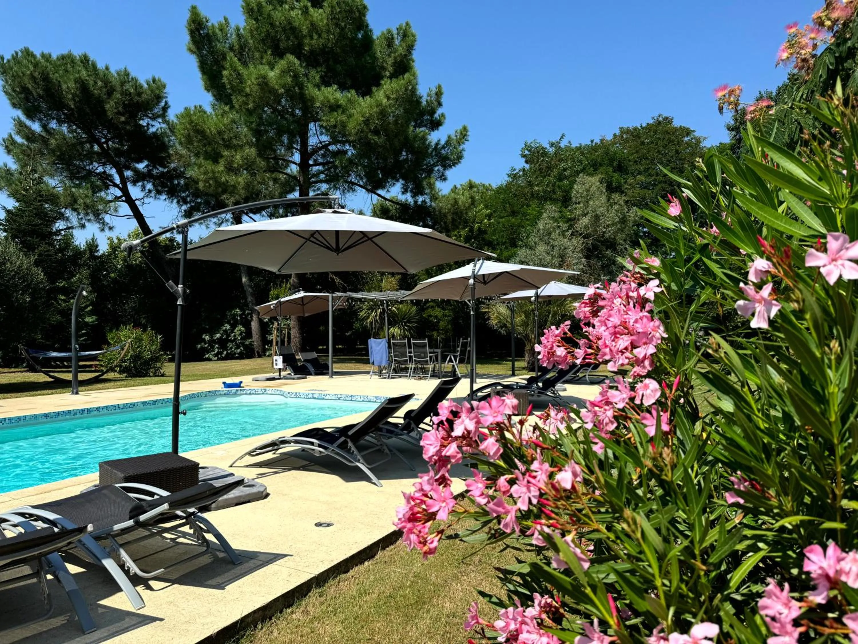 Les Terrasses des Mimosas