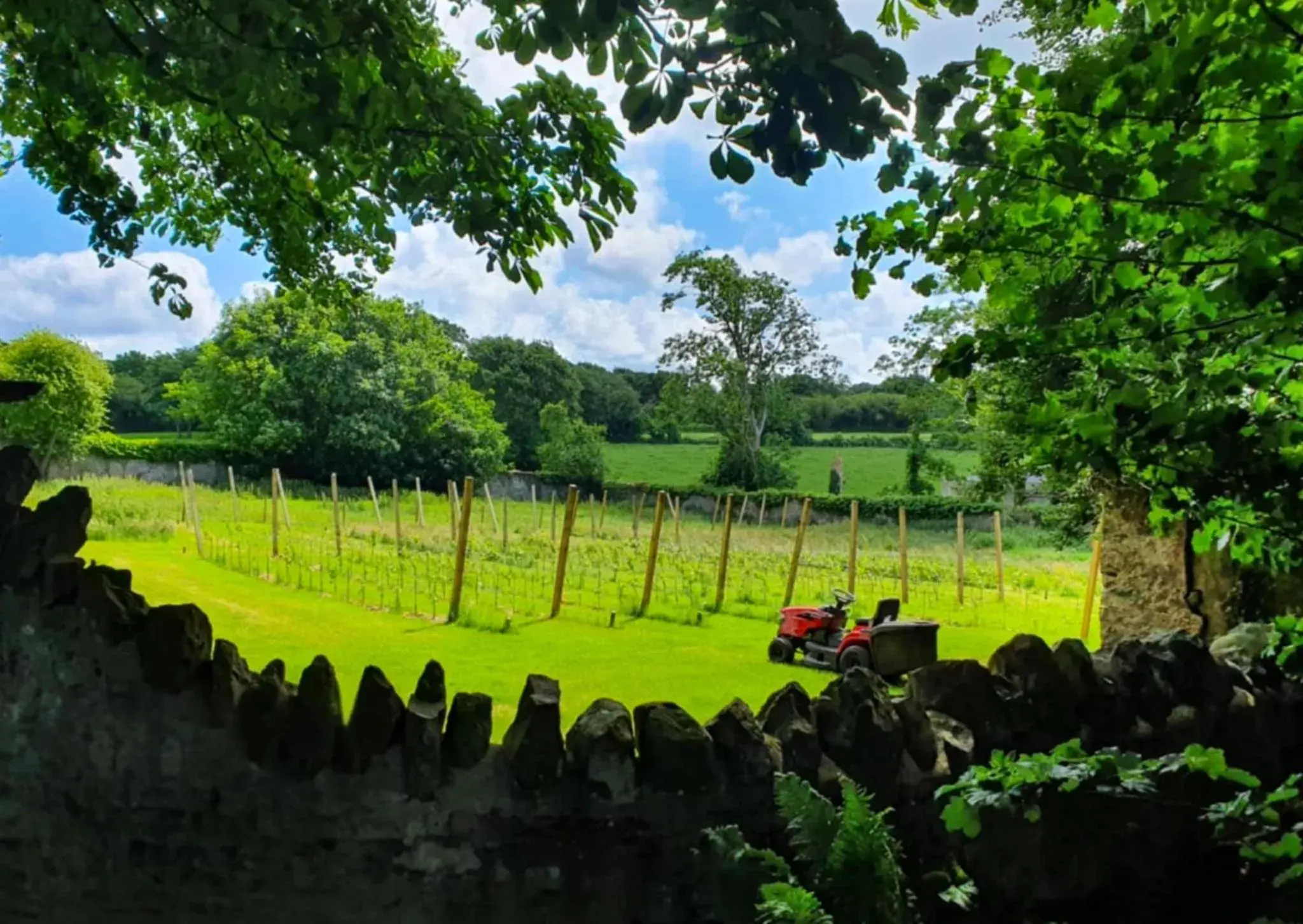 Property building in Plas Dinas Country House Property building in Plas Dinas Country House