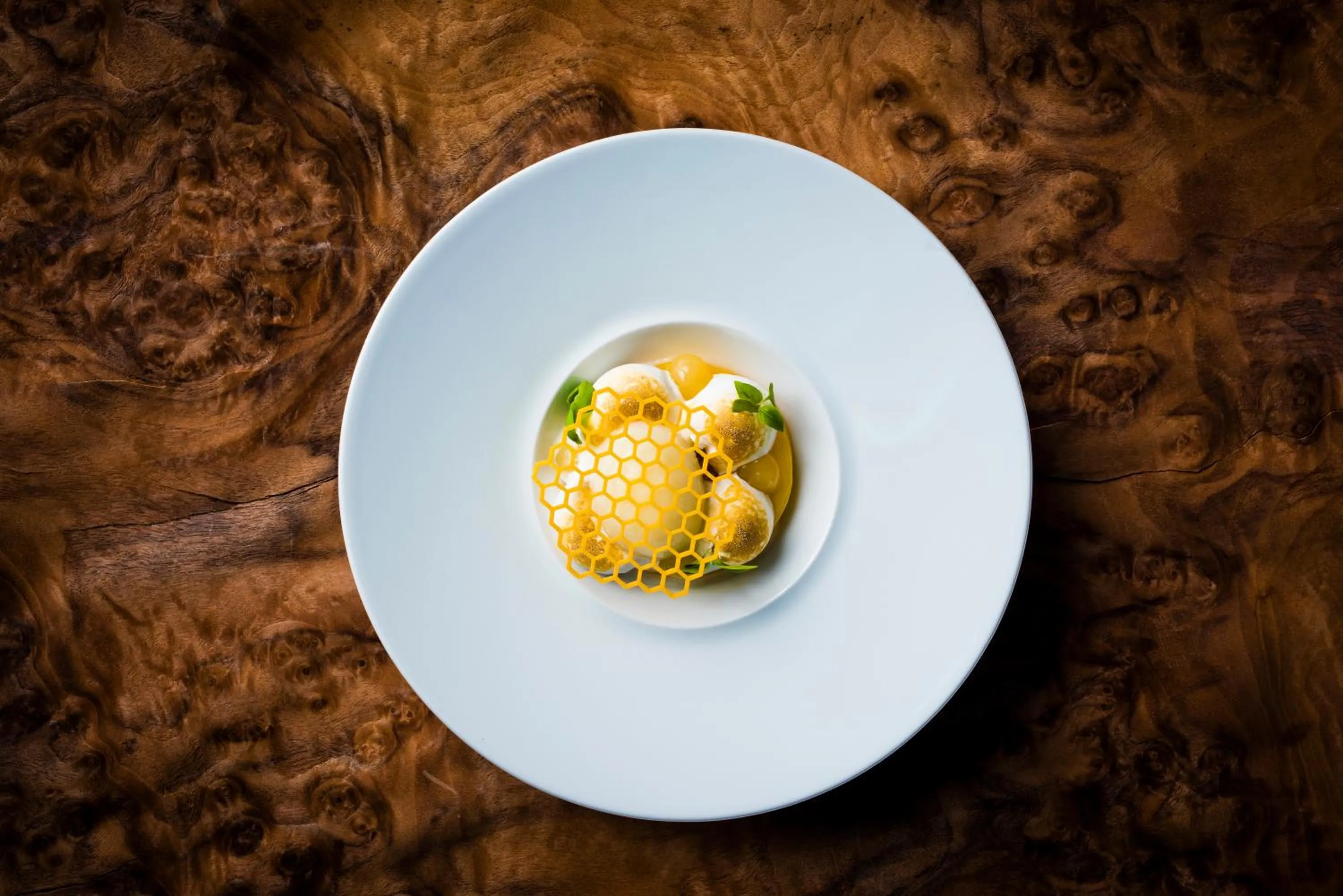 Restaurant/places to eat in Plas Dinas Country House