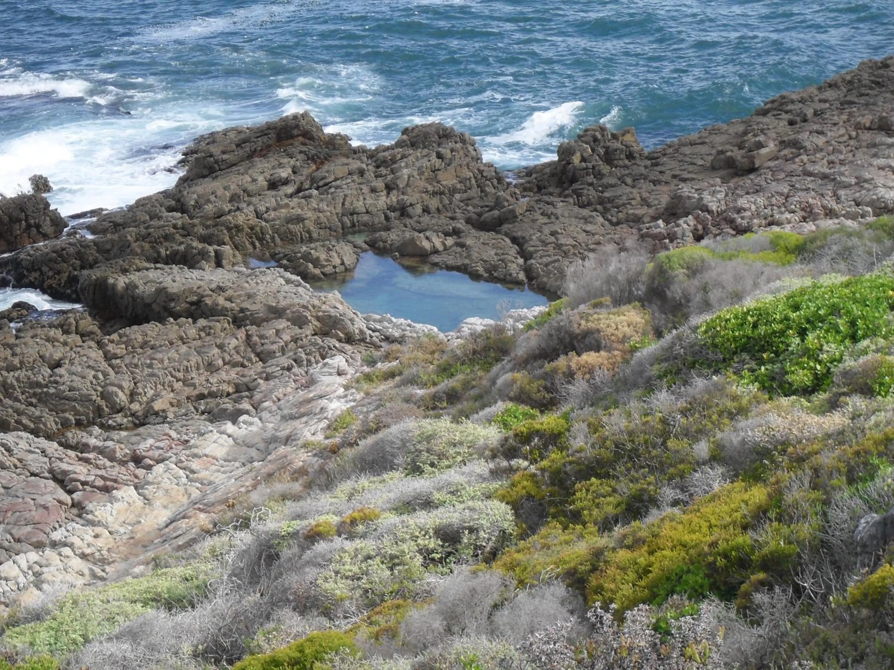 View (from property/room) in Bamboo Guest House