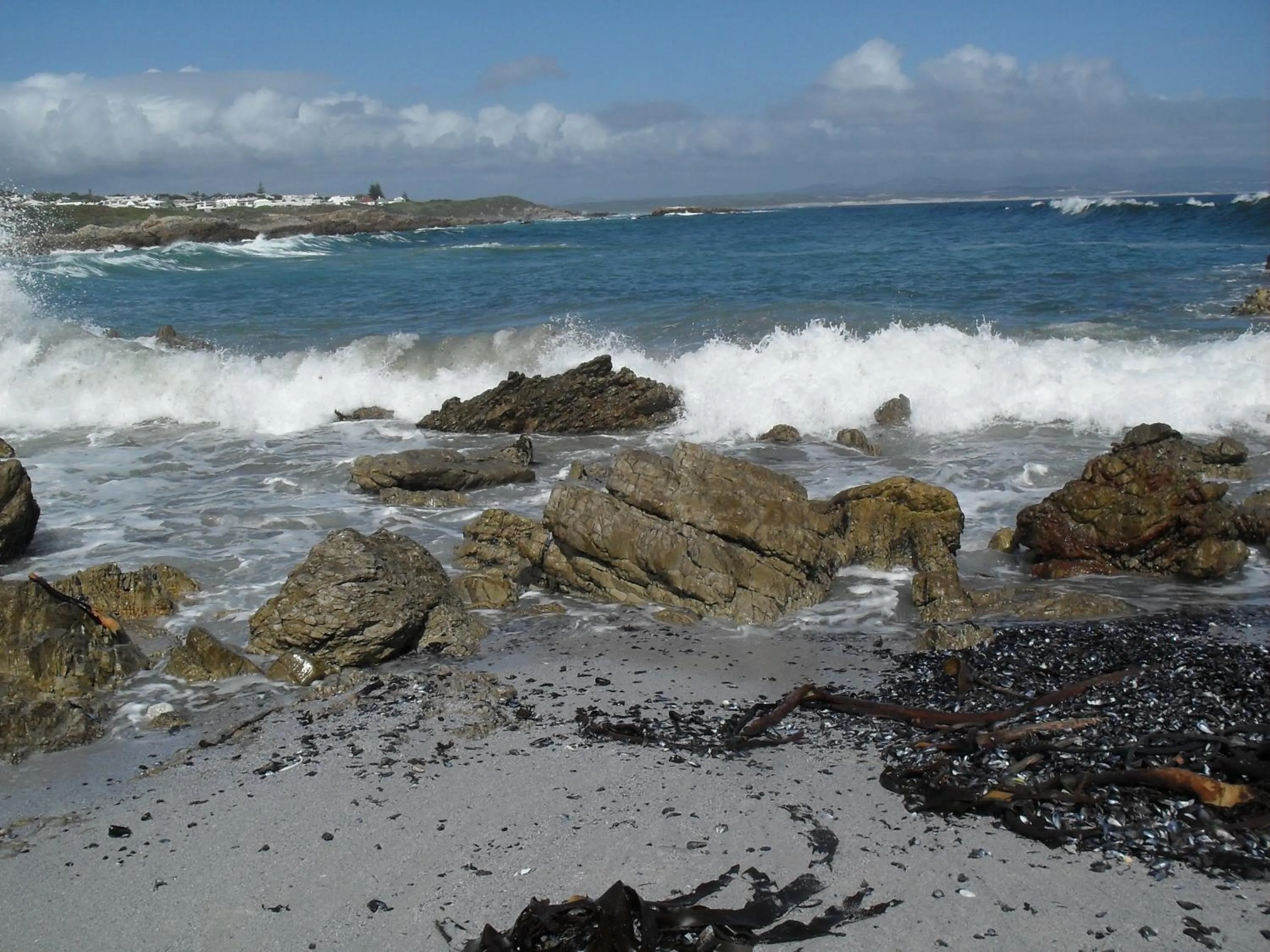 View (from property/room) in Bamboo Guest House