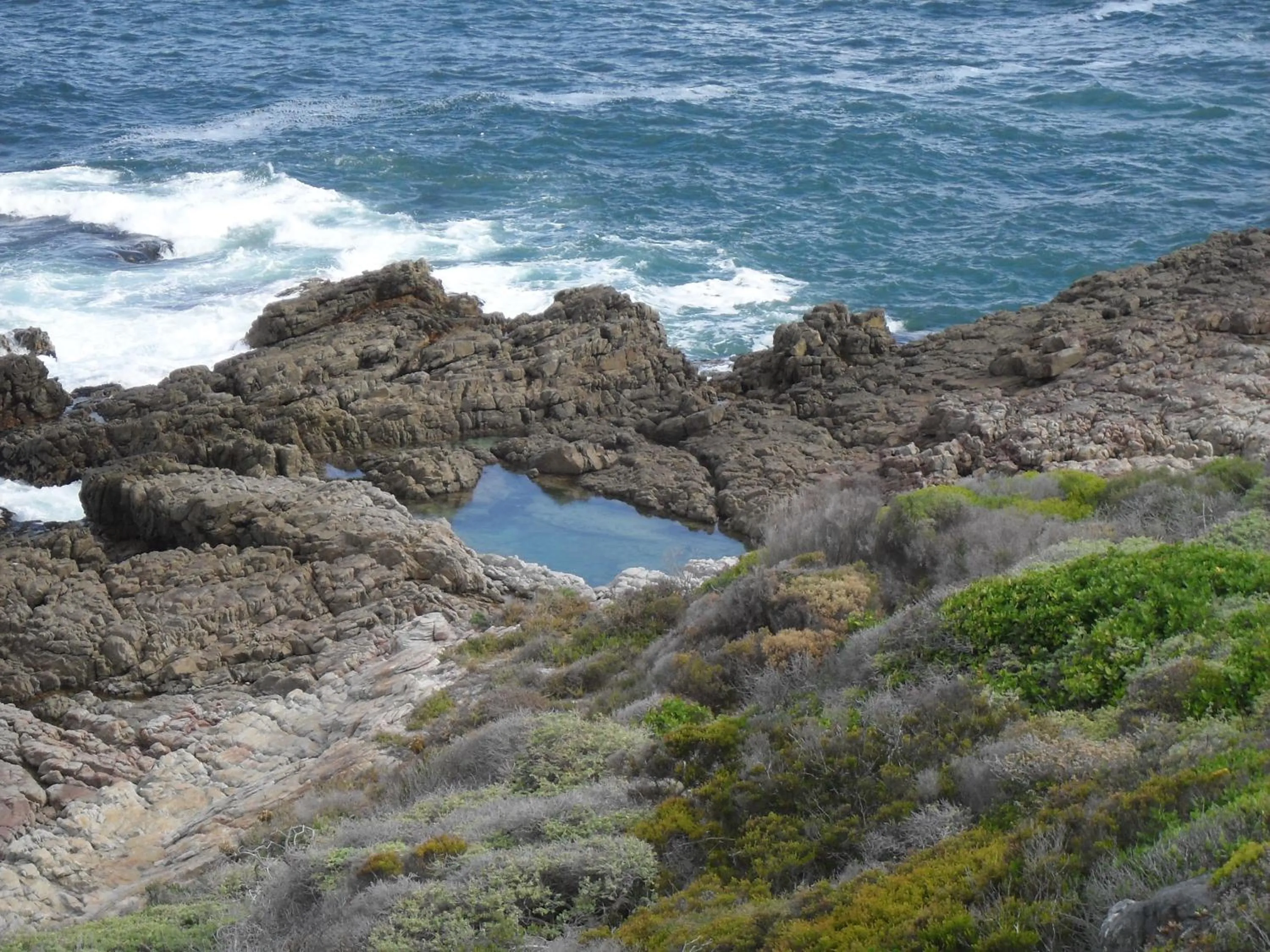 View (from property/room) in Bamboo Guest House