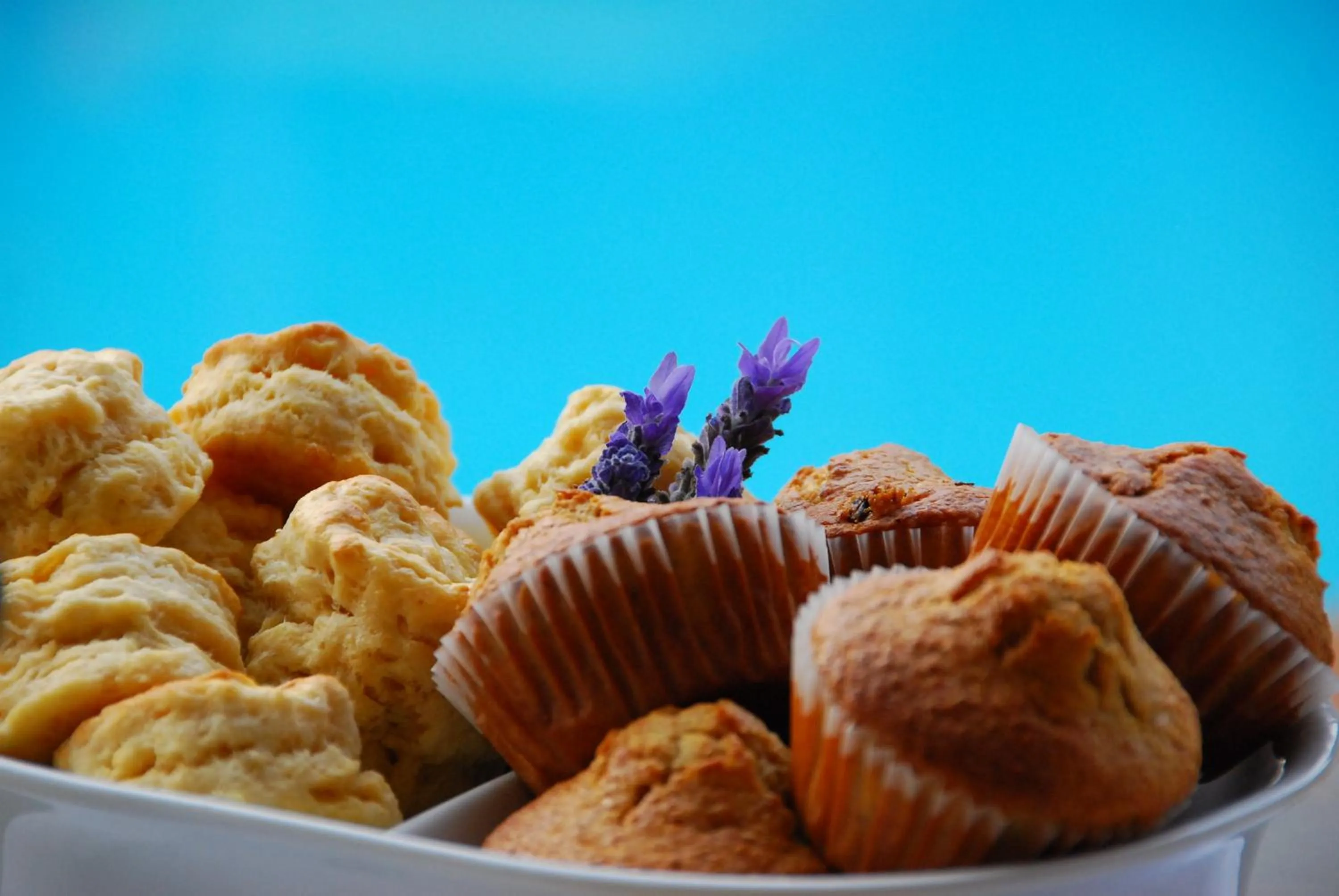 Dining area in Bamboo Guest House