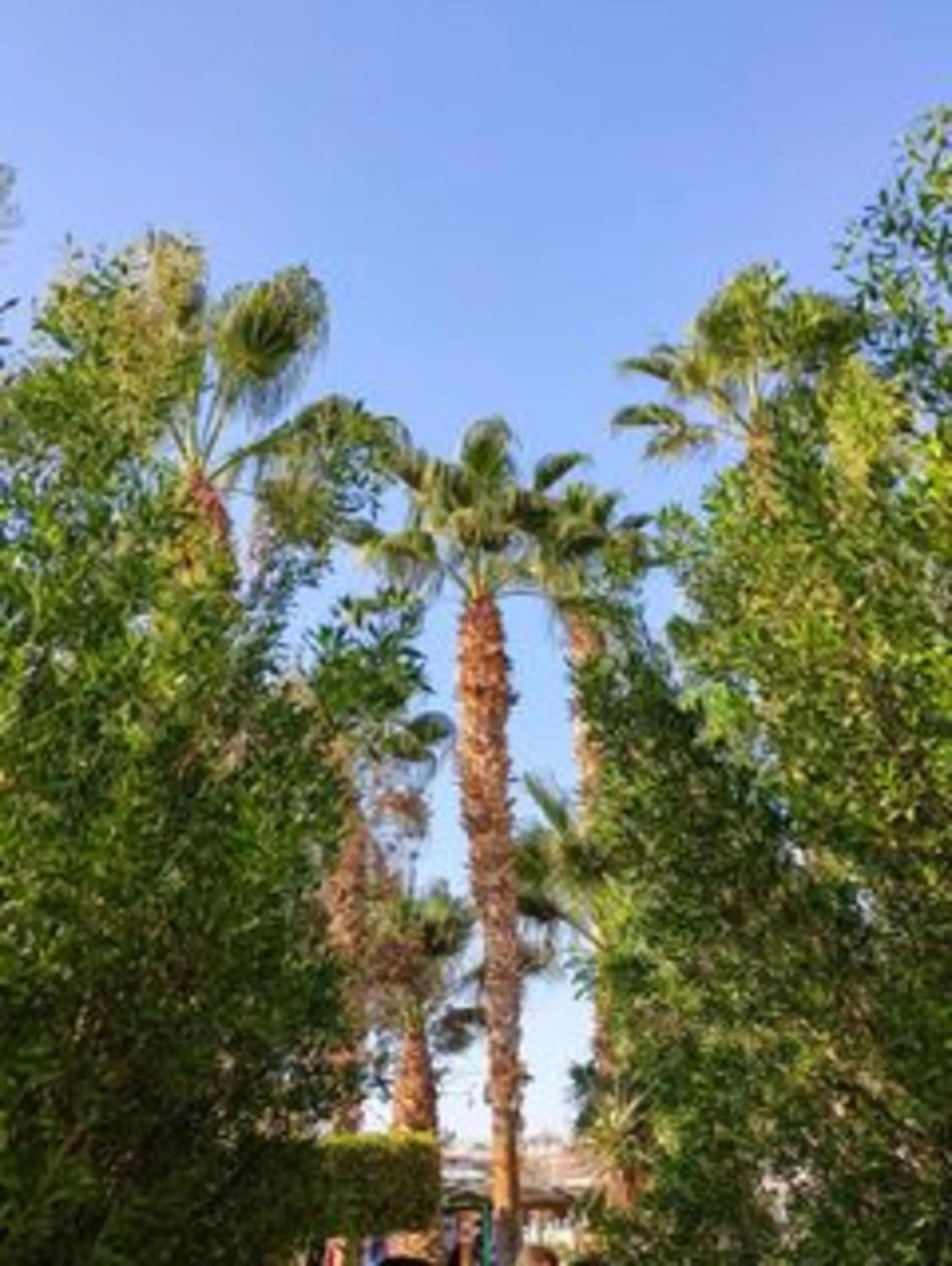 Natural landscape in Mirage Bay Resort & Aqua Park