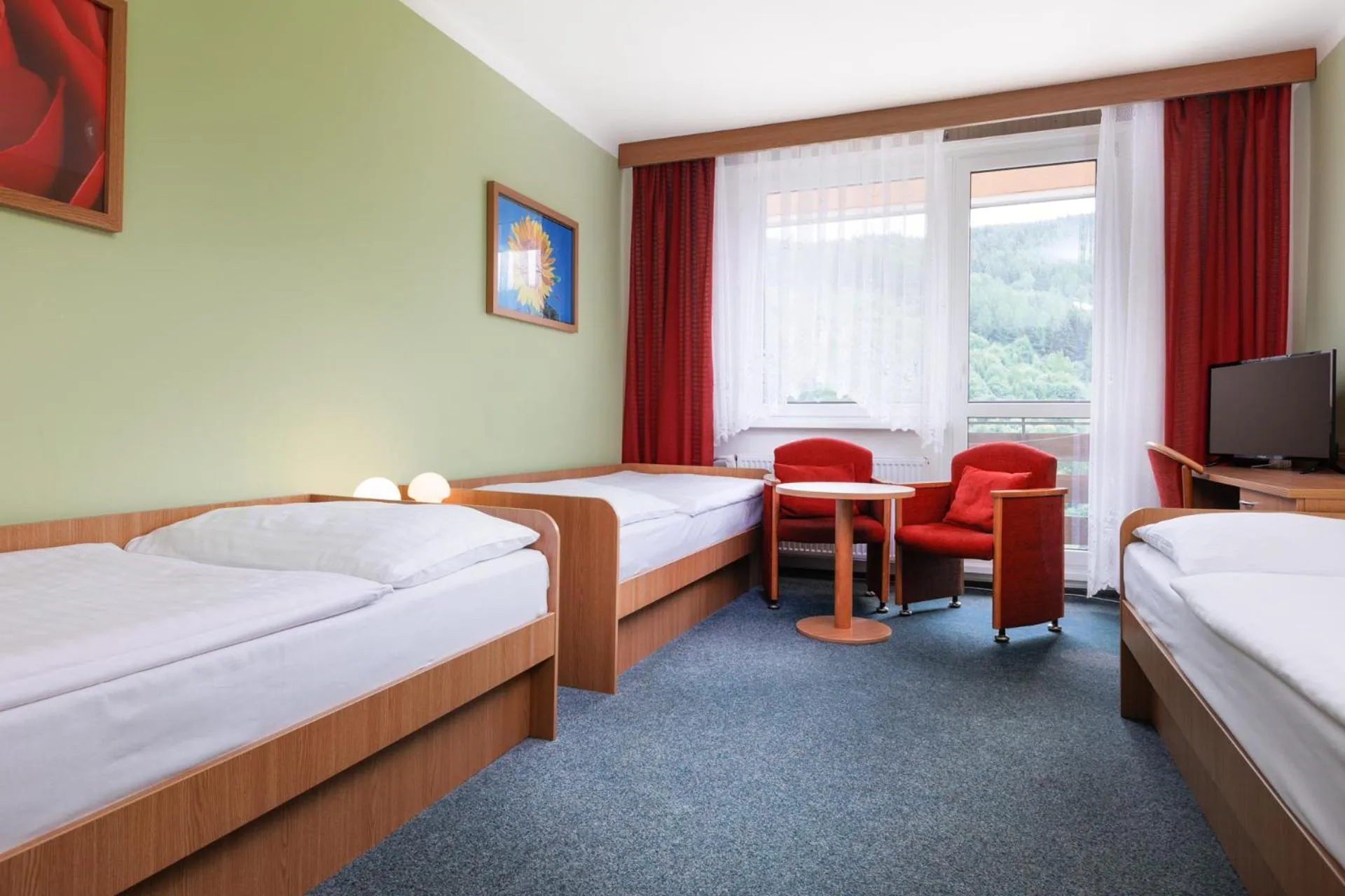 Deluxe Triple Room - single occupancy in Resort Dlouhé Stráně