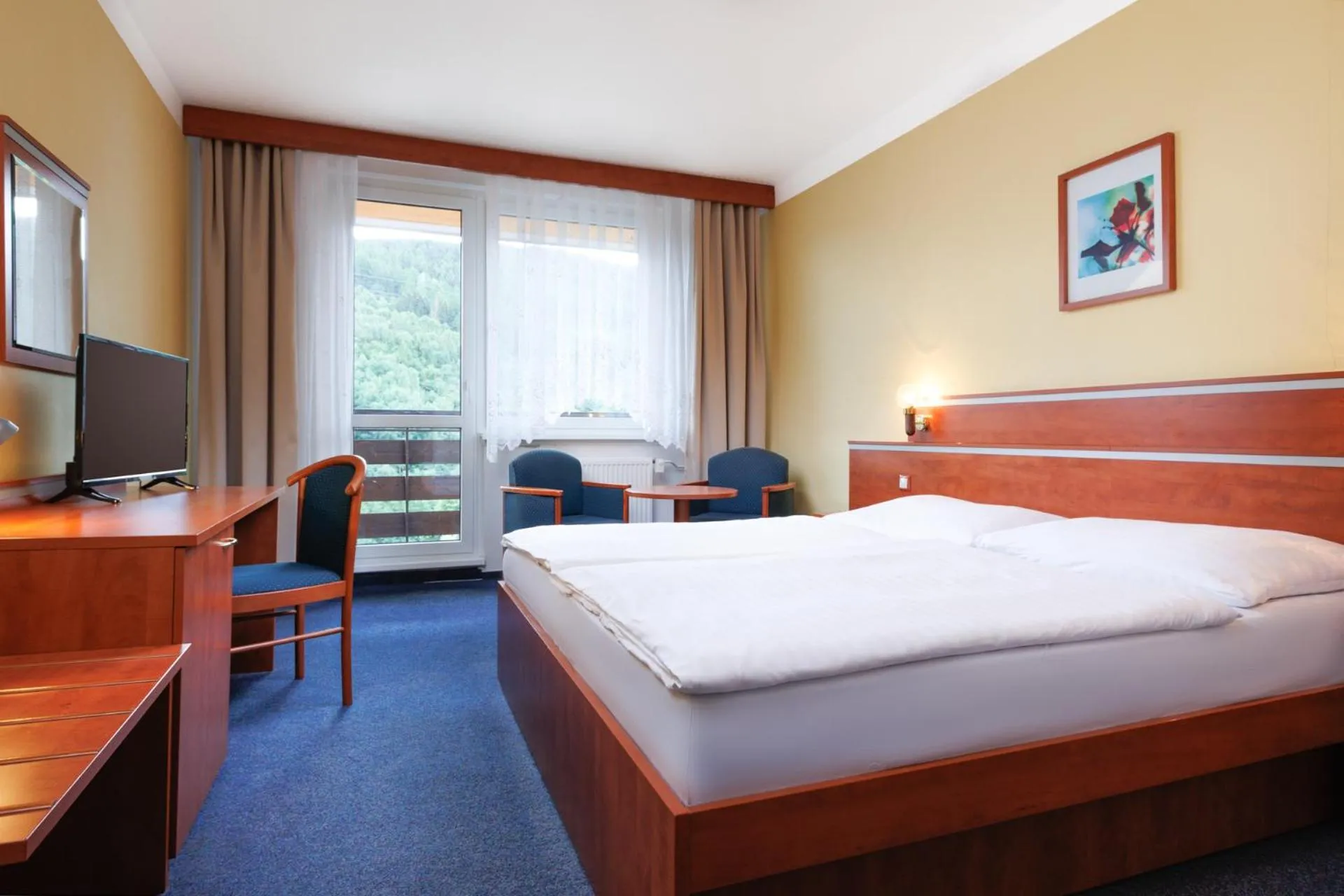 Deluxe Double or Twin Room in Resort Dlouhé Stráně
