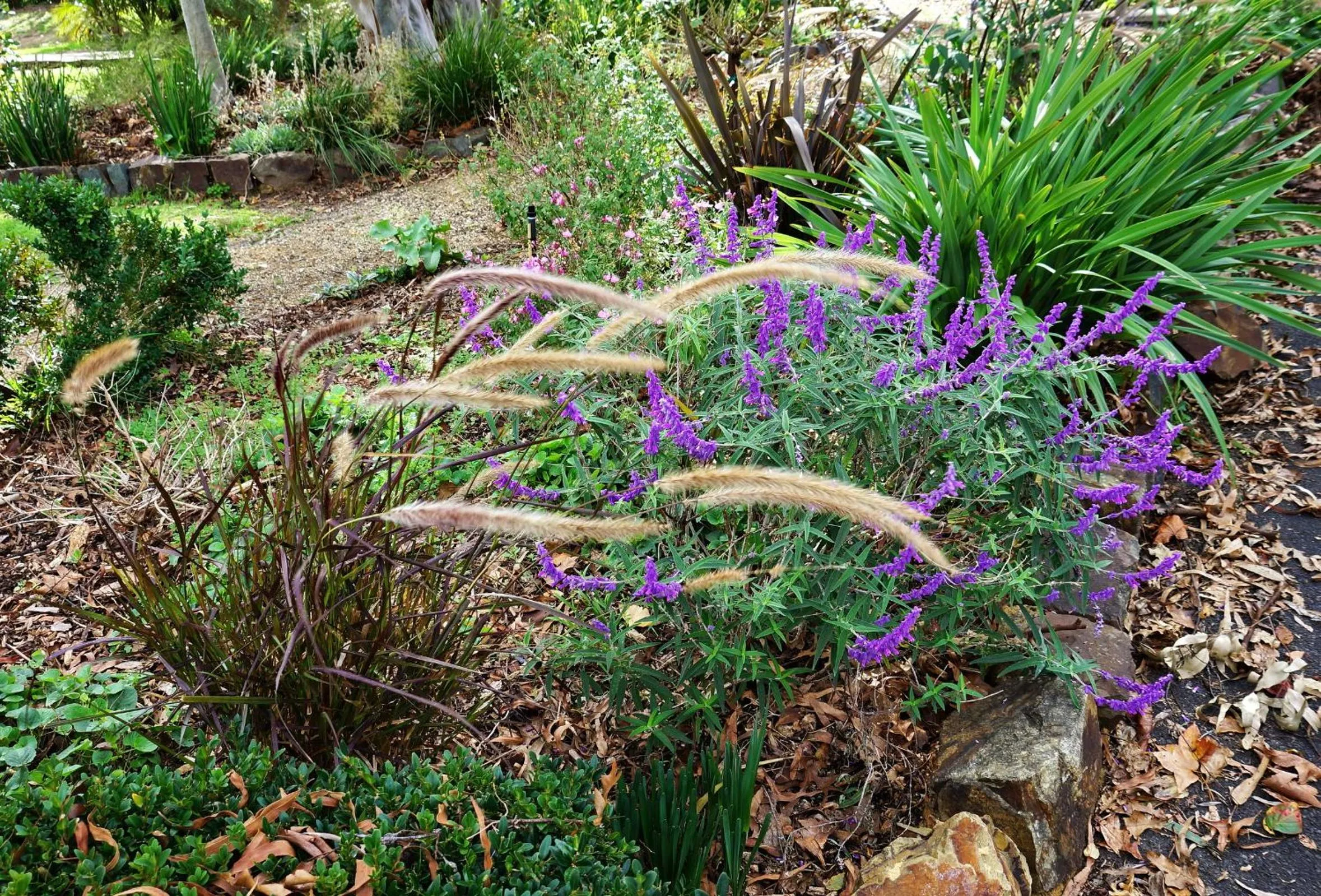 Garden view in The Oaks Lilydale Accommodation