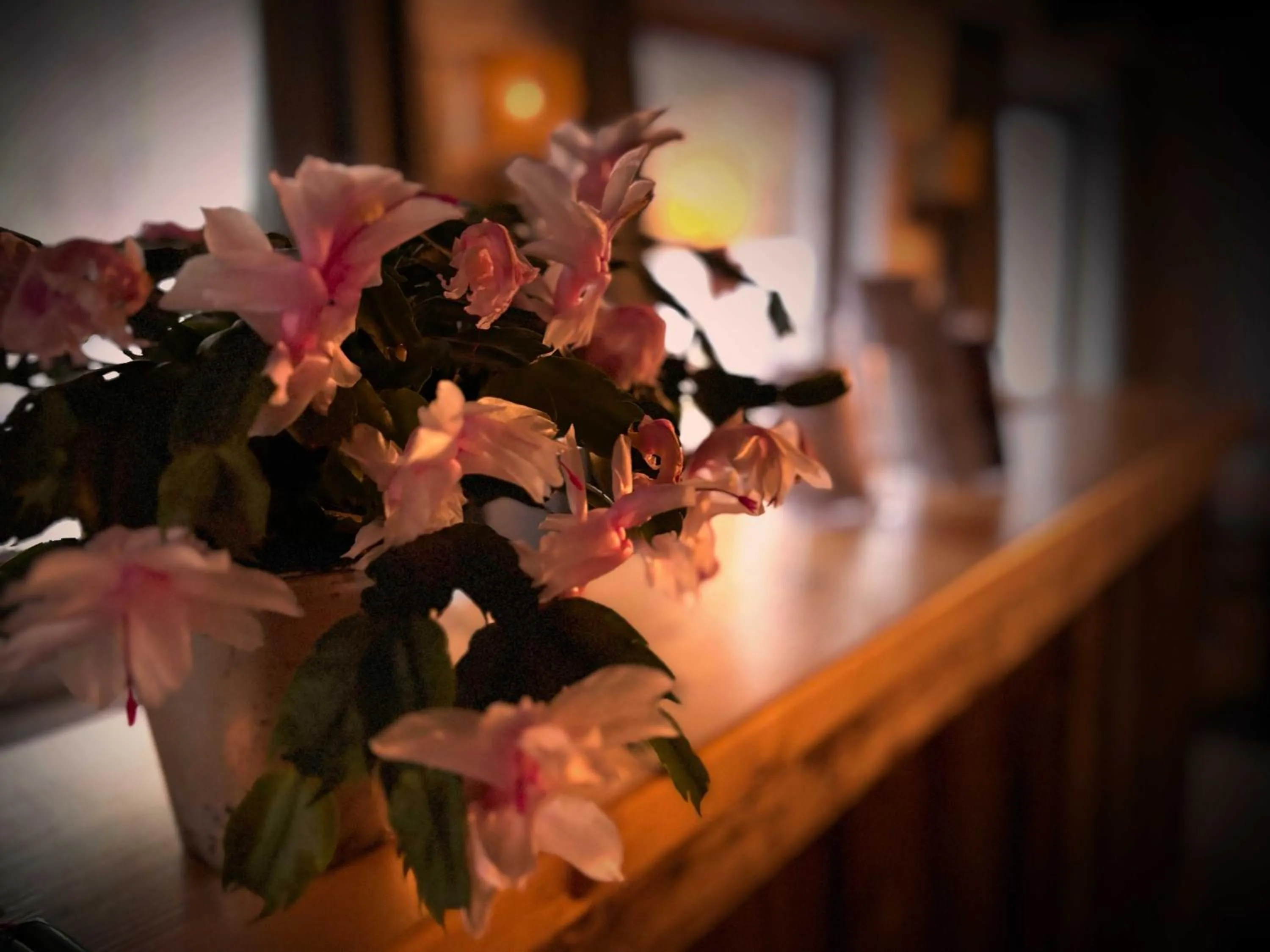 Lobby or reception in Pension Almhof Baumgarten