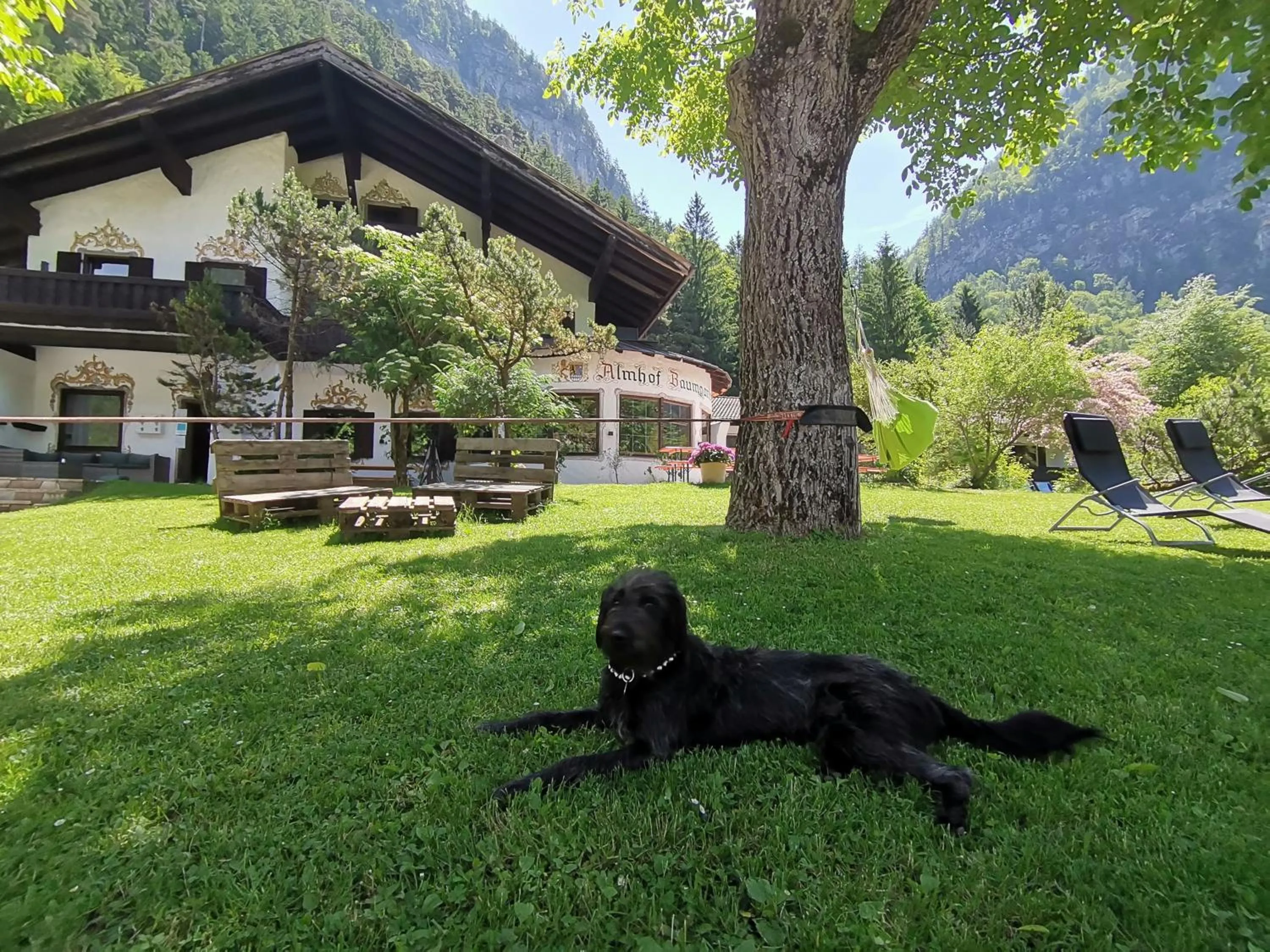 Spring in Pension Almhof Baumgarten