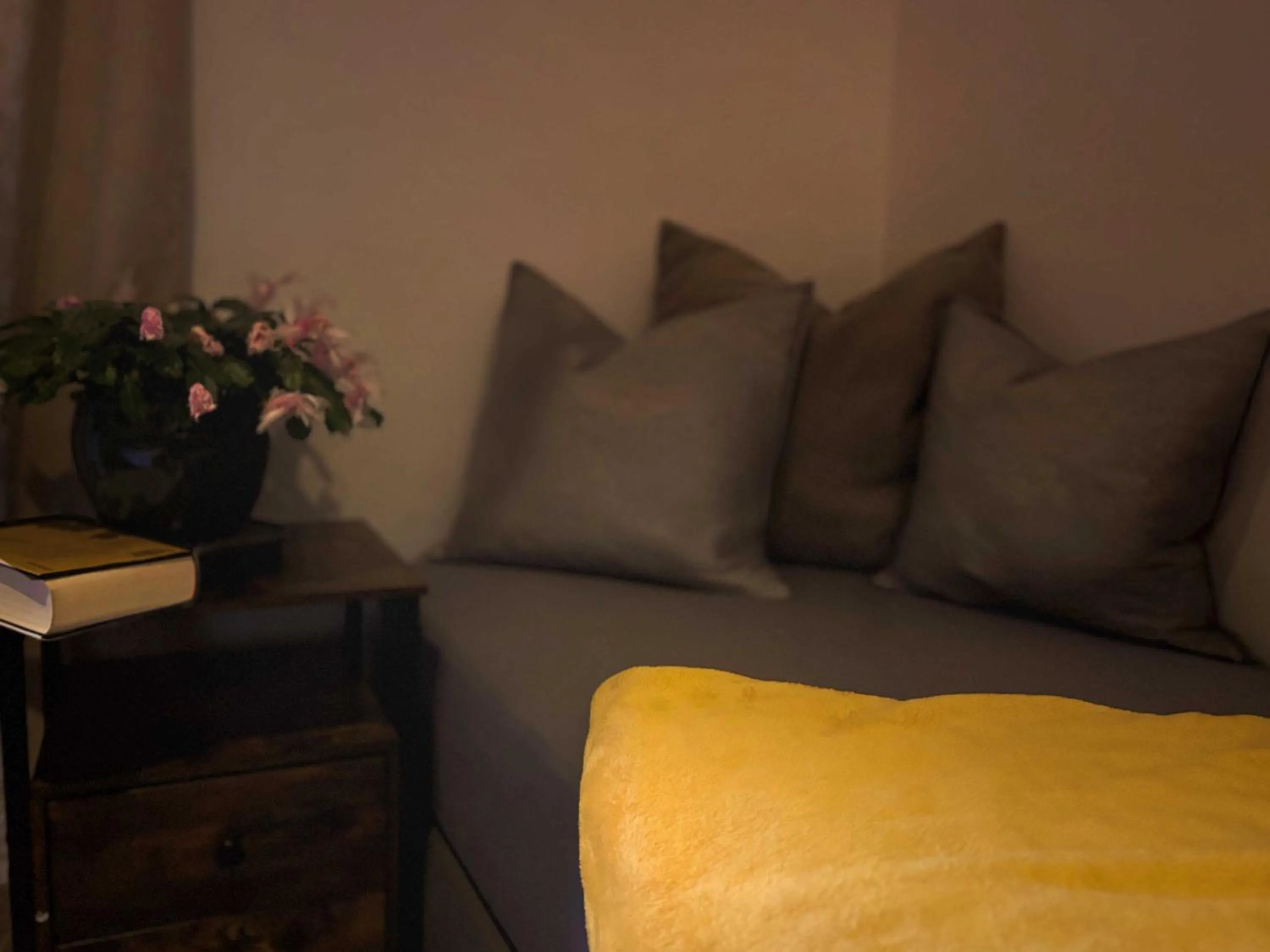 Seating area in Pension Almhof Baumgarten