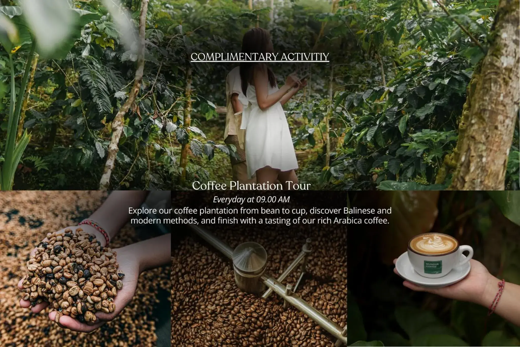 Munduk Moding Plantation Nature Resort Munduk Moding Plantation Nature Resort