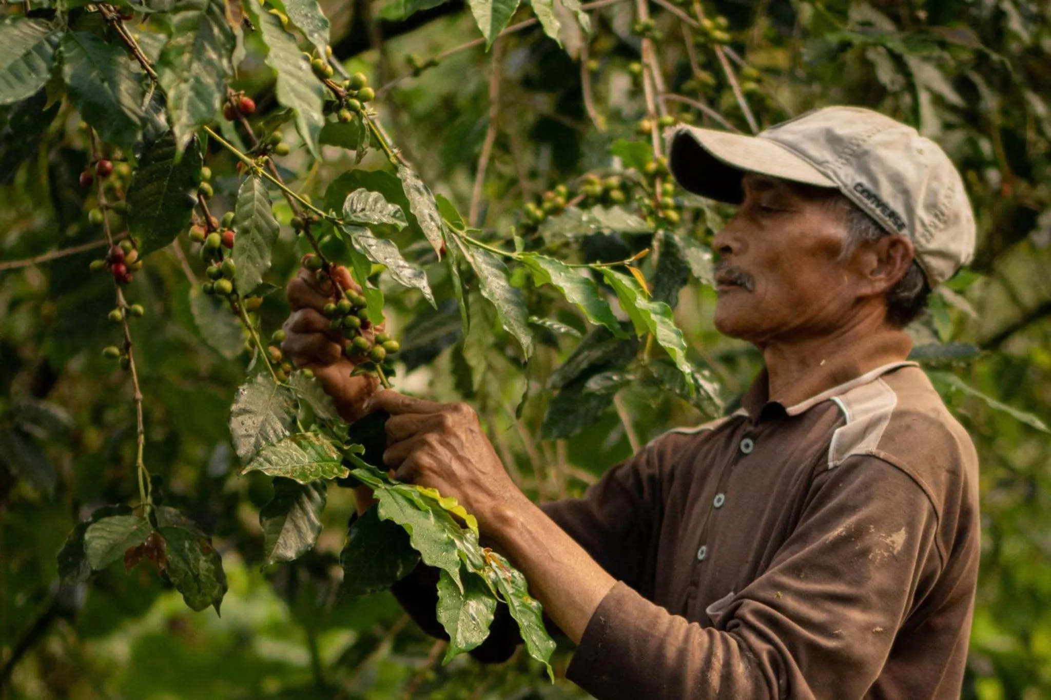 Activities in Munduk Moding Plantation Nature Resort
