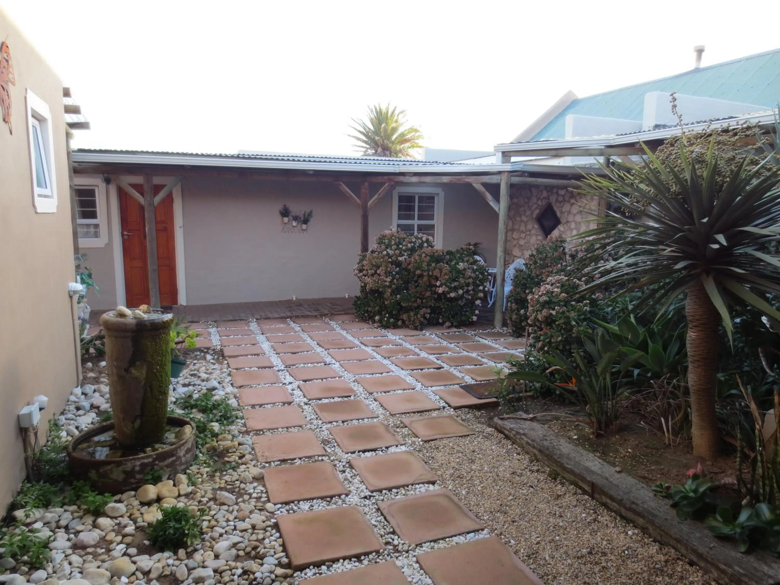 Garden in Masada Guest House