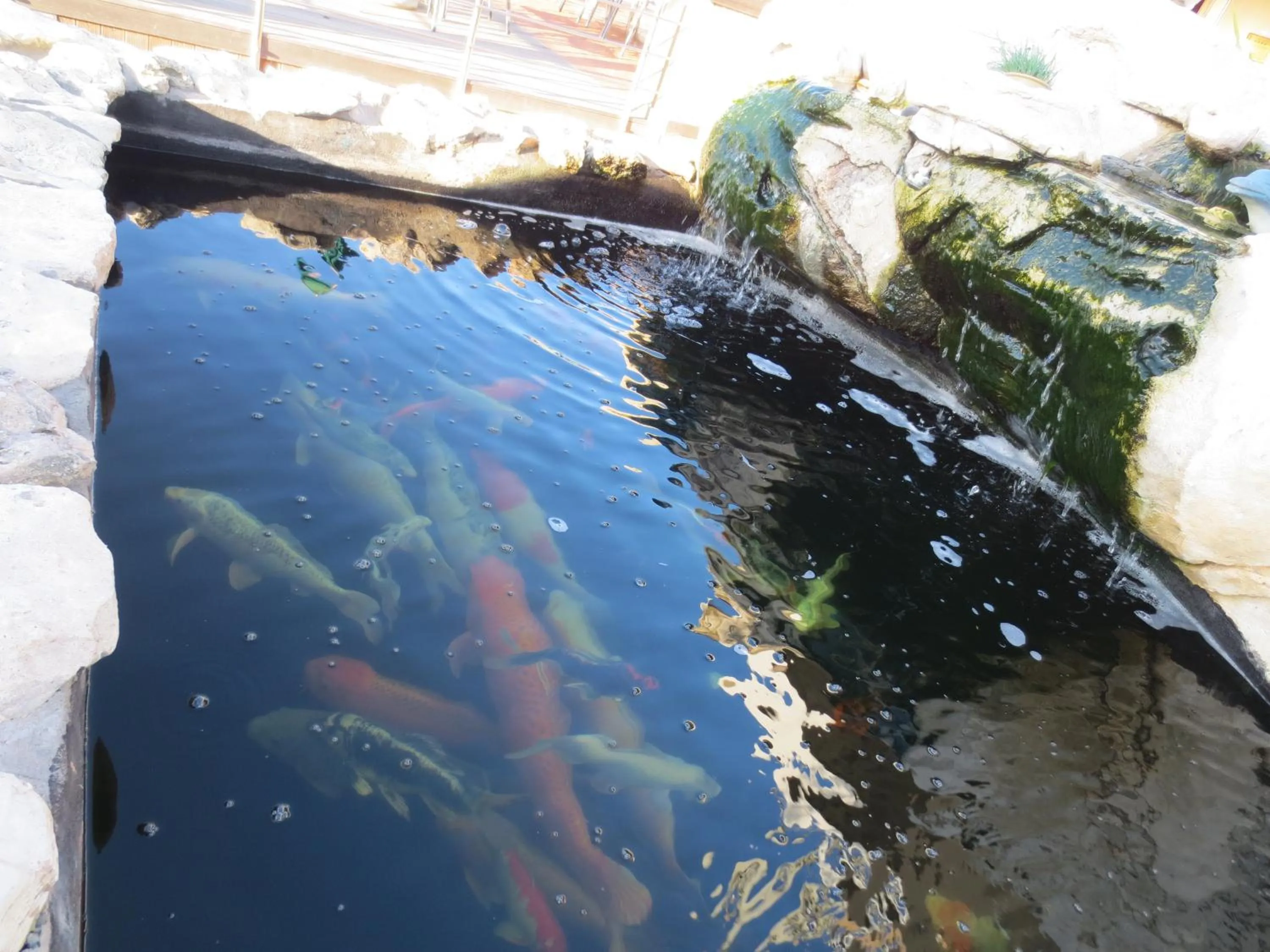 On site in Masada Guest House