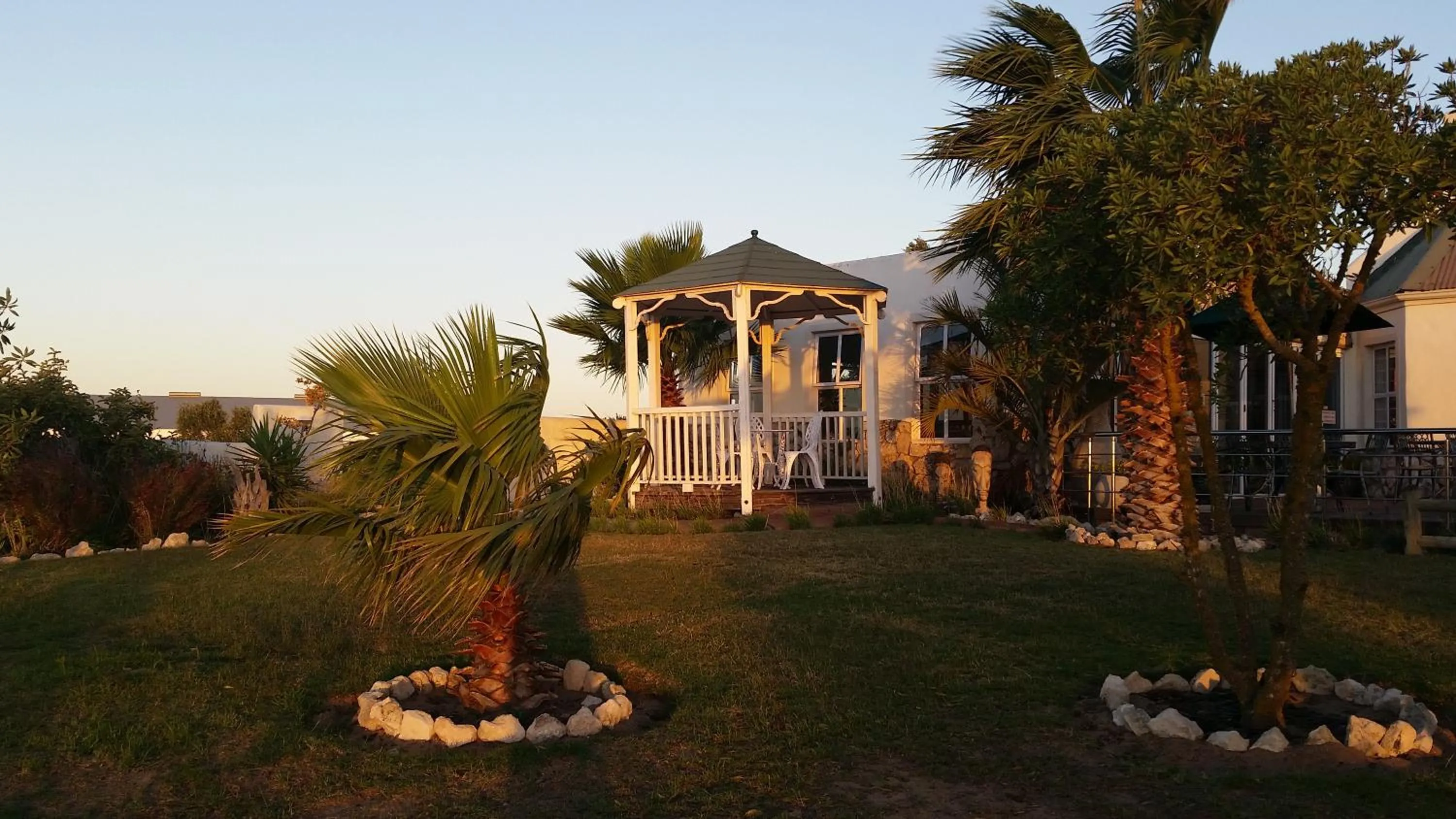 Garden in Masada Guest House