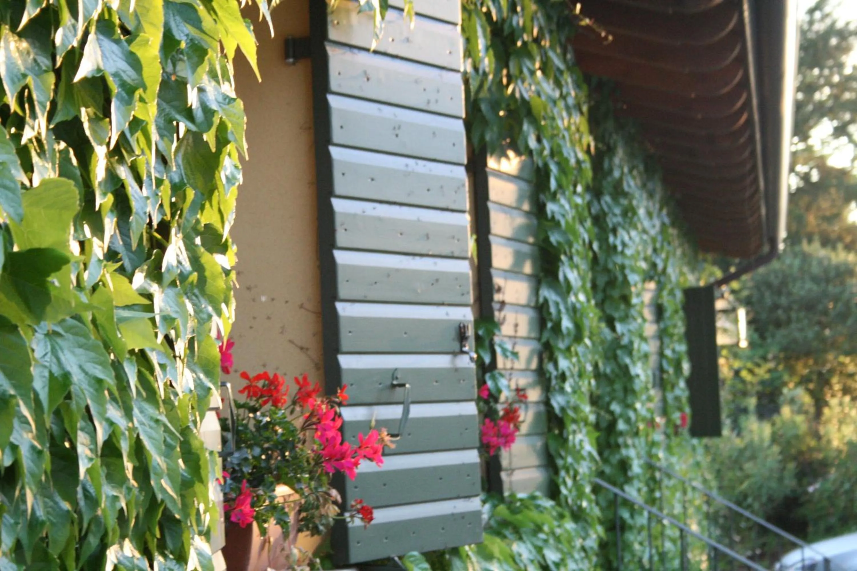 Property building in Corte San Mattia