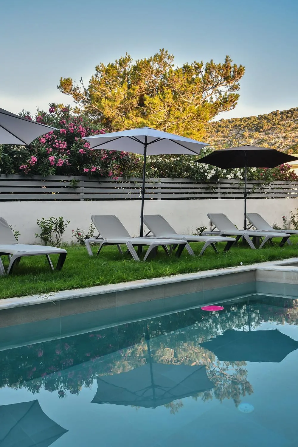 Swimming pool in Del Mar 'Adults Only'