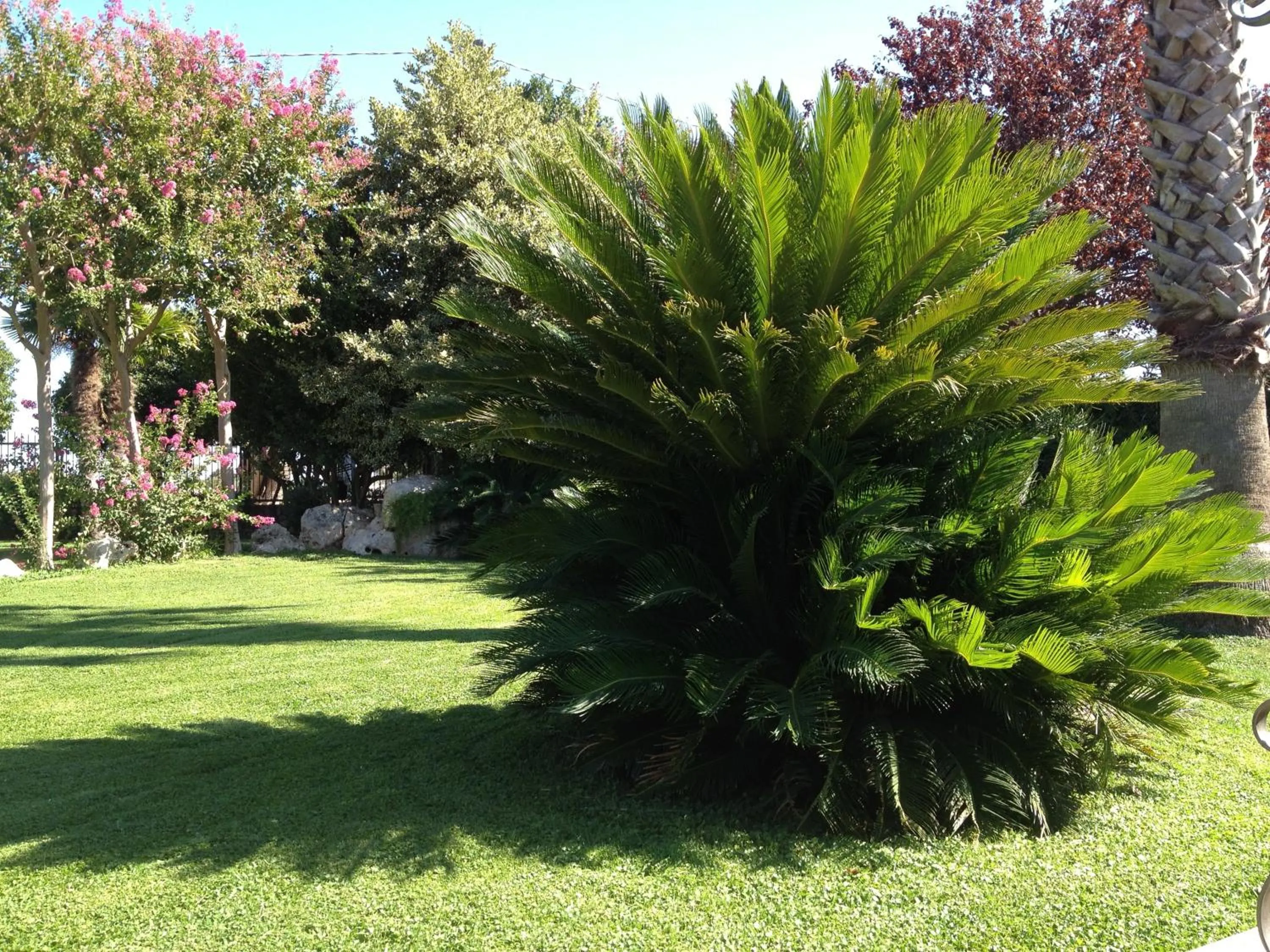 Garden in Masseria Casale Dei Fornici