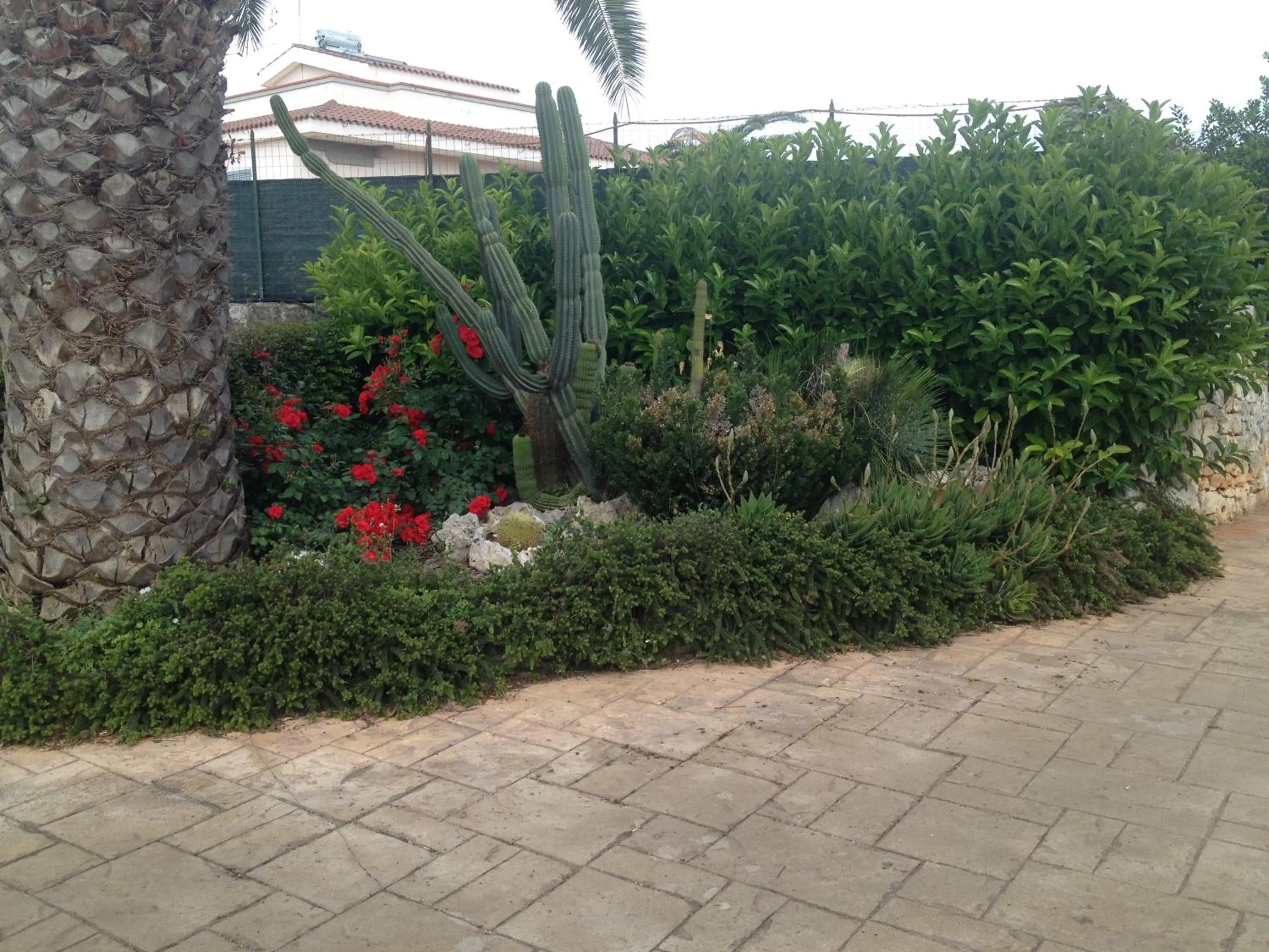Garden in Masseria Casale Dei Fornici