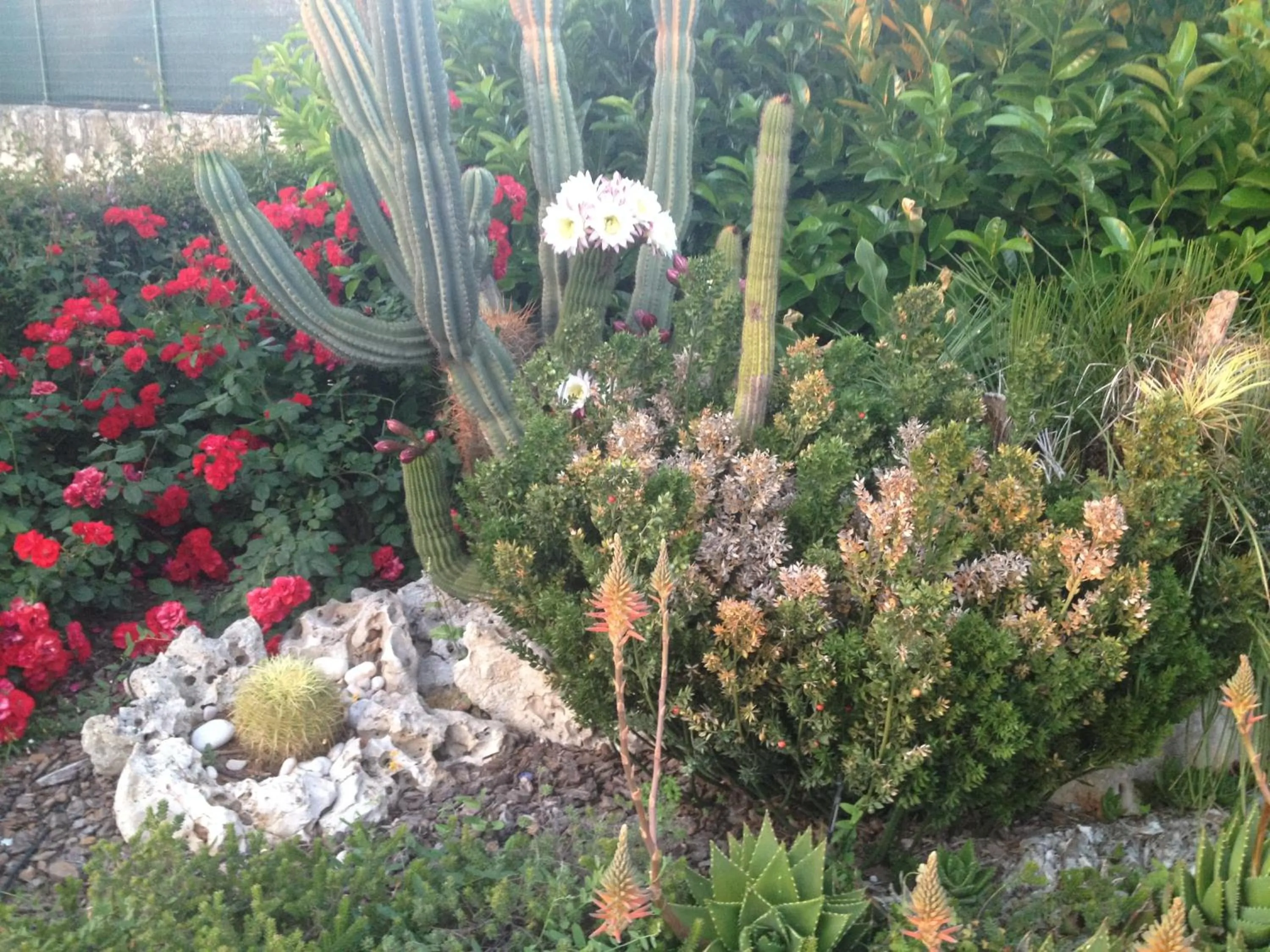 Garden in Masseria Casale Dei Fornici