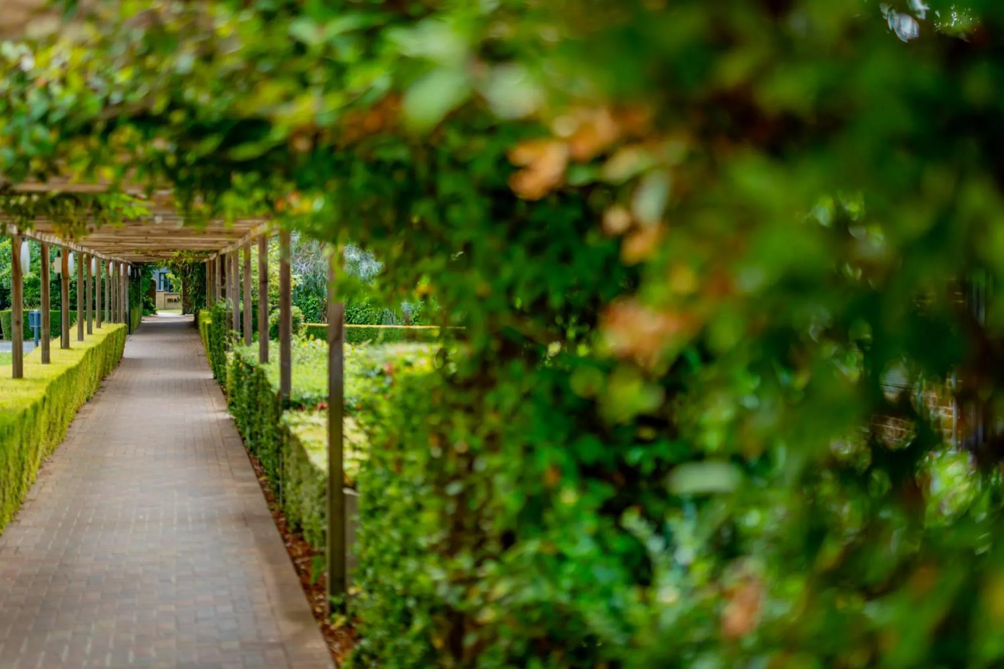 Garden in Ashorne Hill Leamington Spa