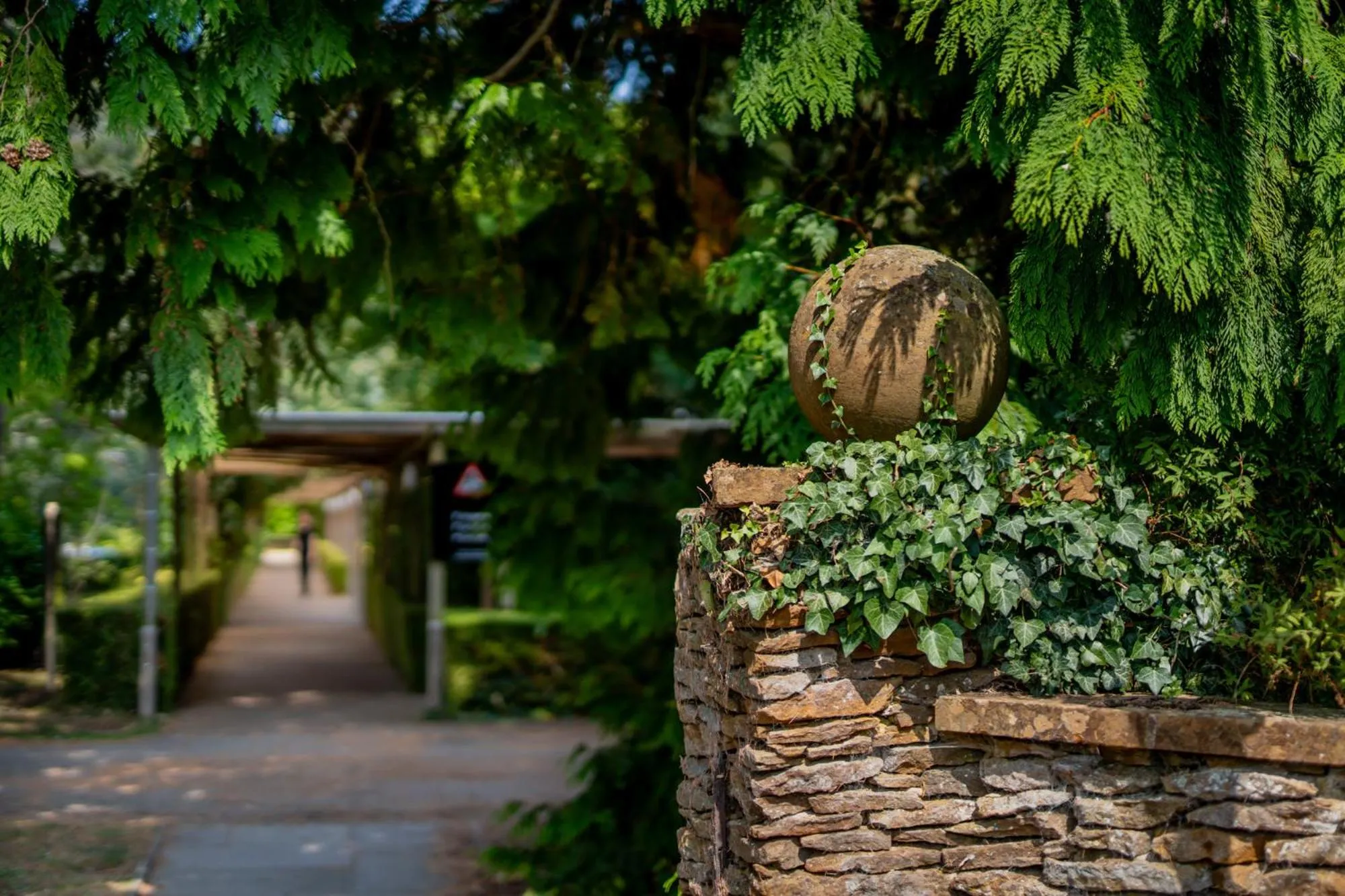 Garden in Ashorne Hill Leamington Spa
