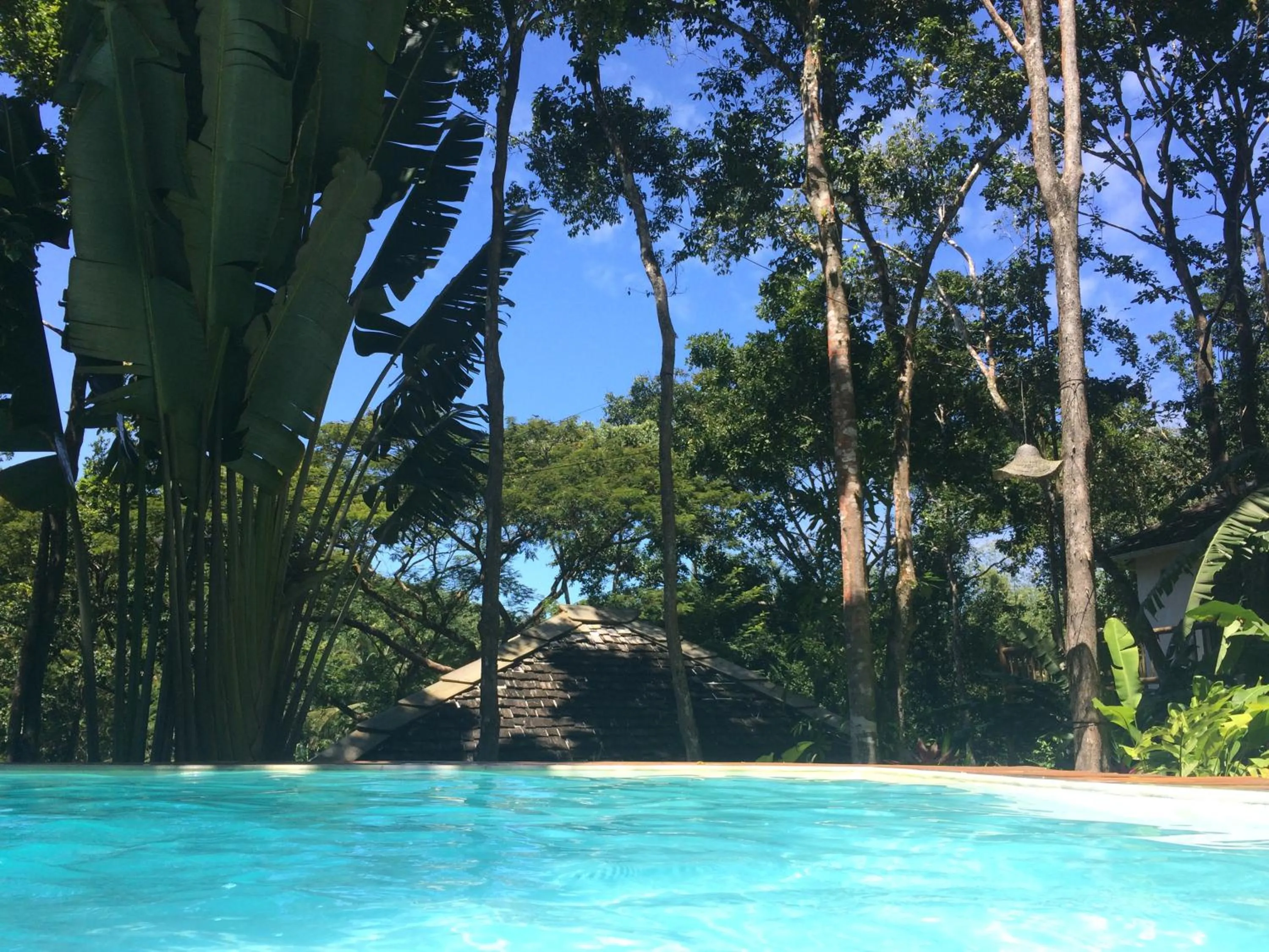 Swimming pool in Trancoso Jungle Lodge