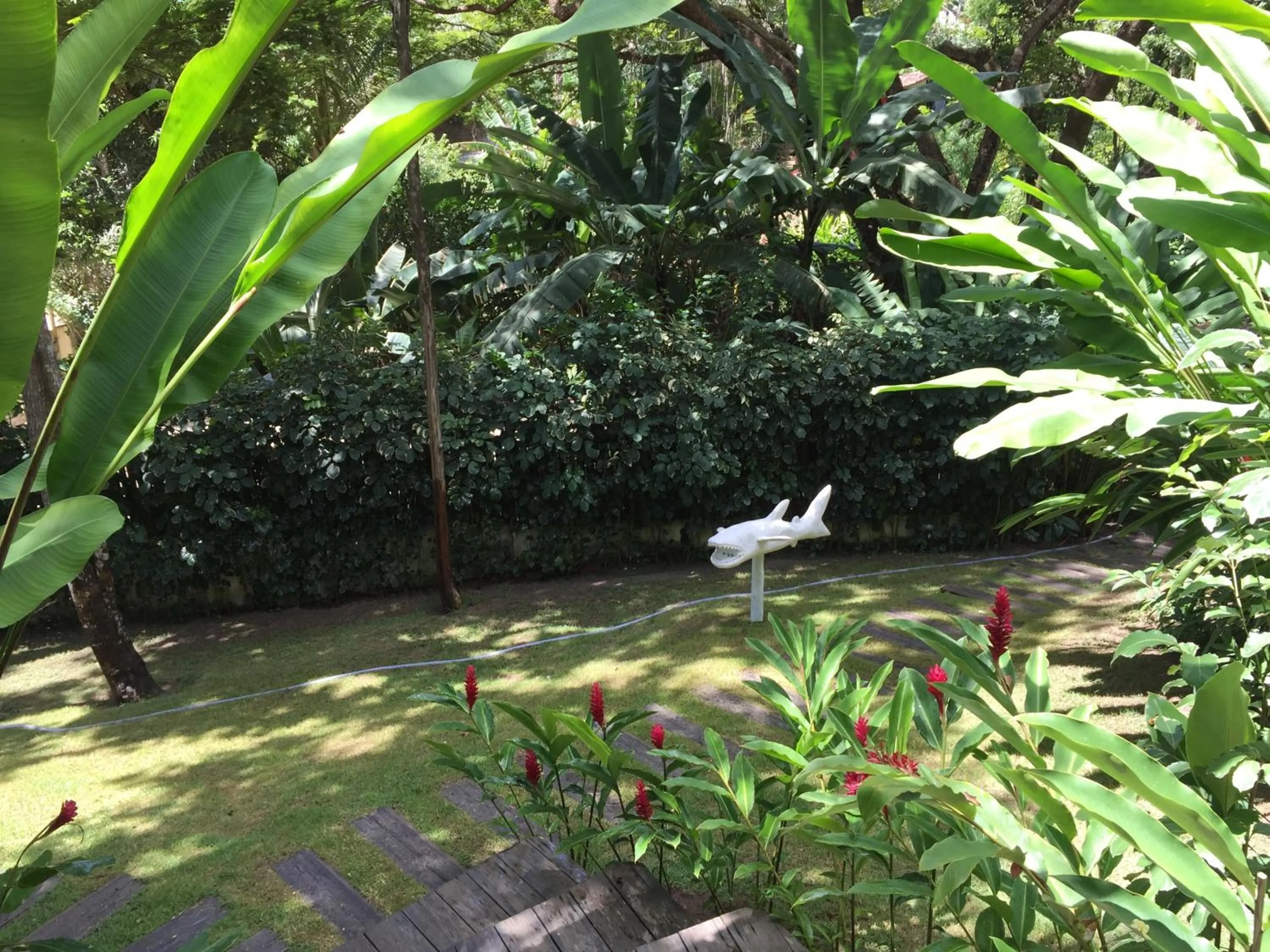 Garden in Trancoso Jungle Lodge