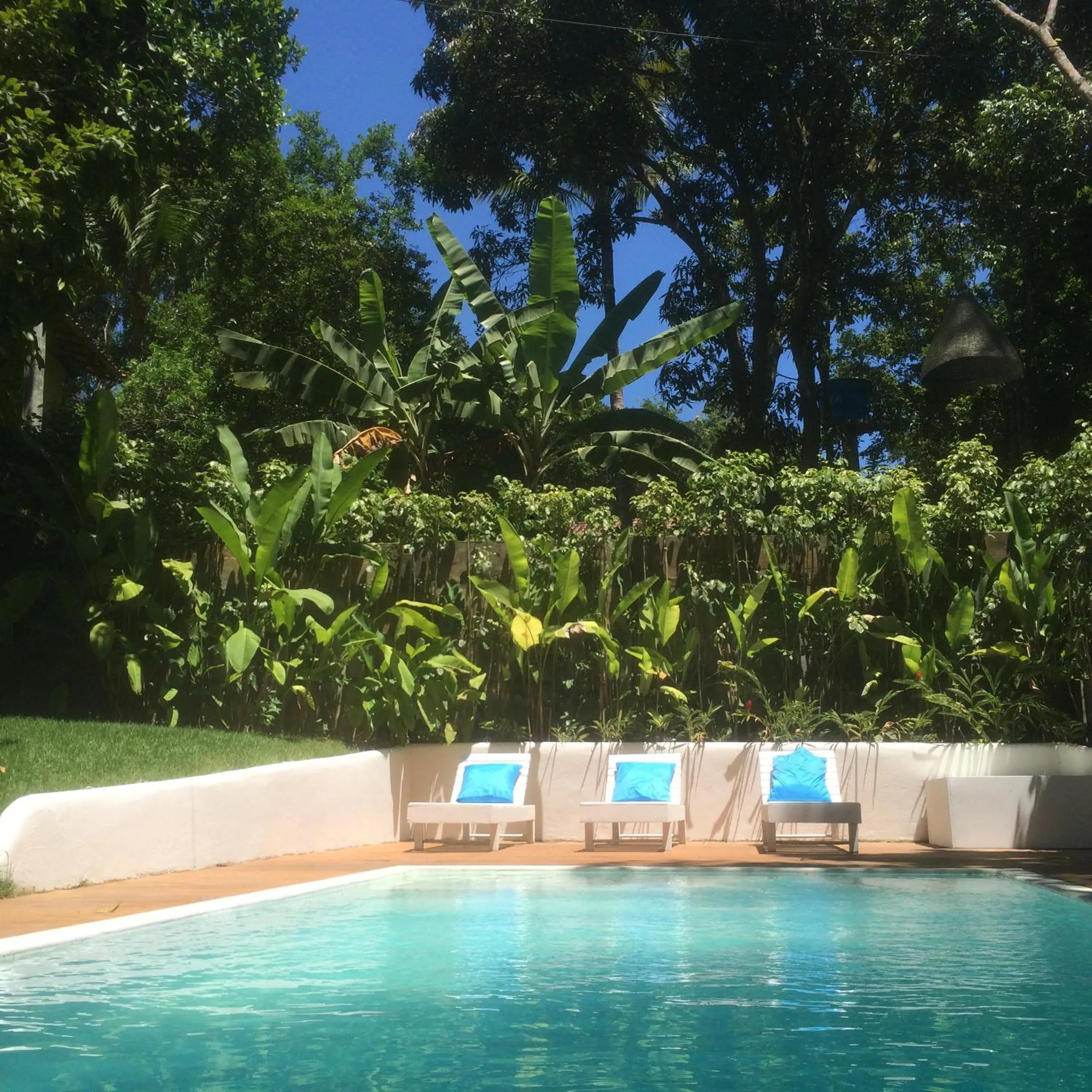 Swimming pool in Trancoso Jungle Lodge