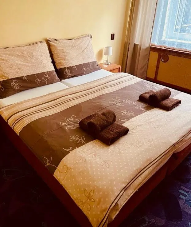 Hotel Slatina