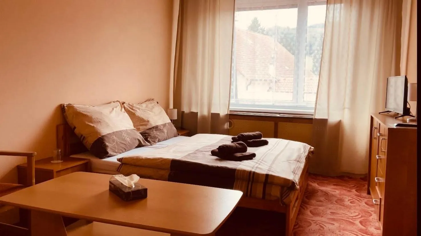 Hotel Slatina