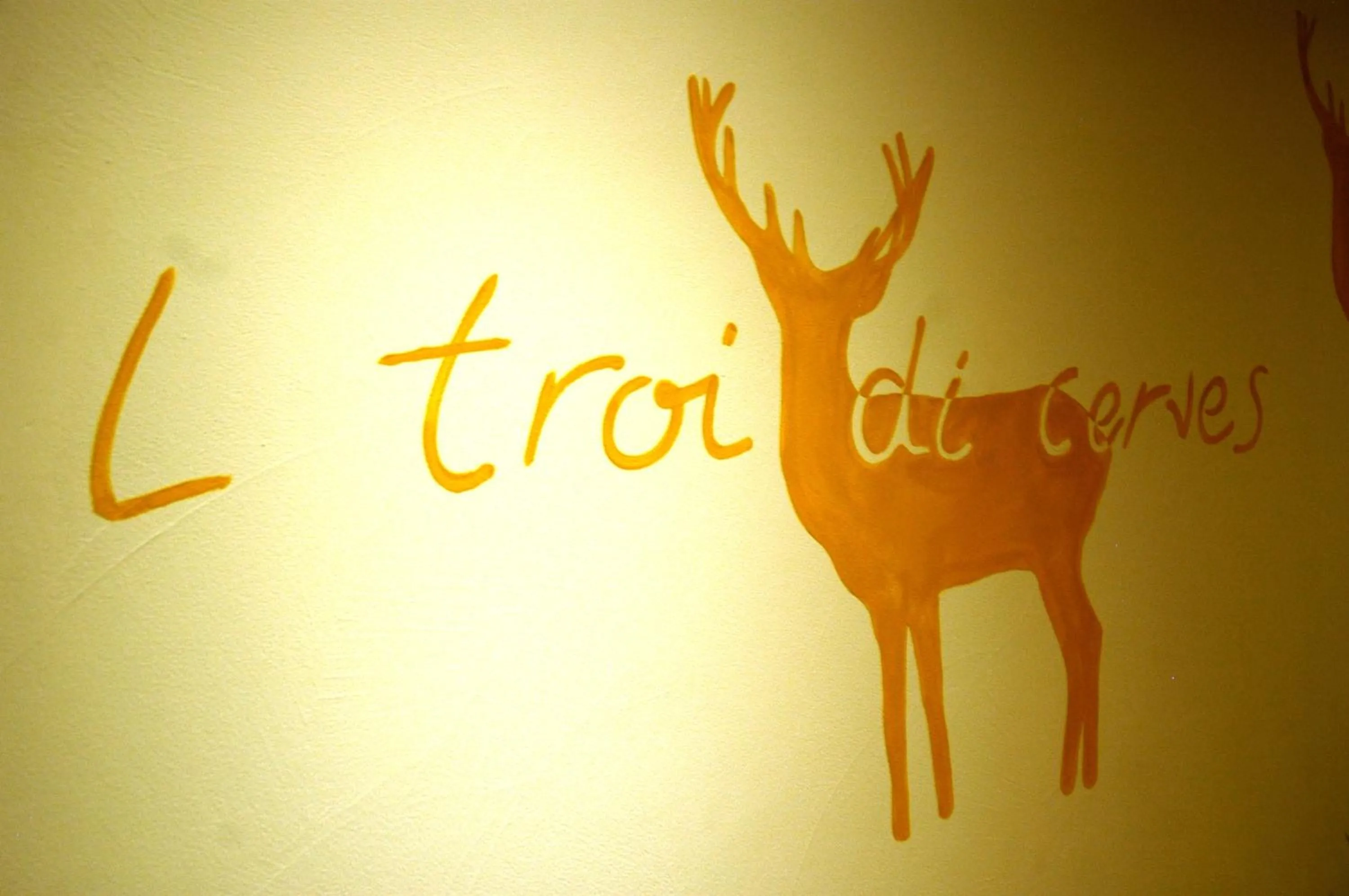 Spa and wellness centre/facilities in Hotel La Serenella