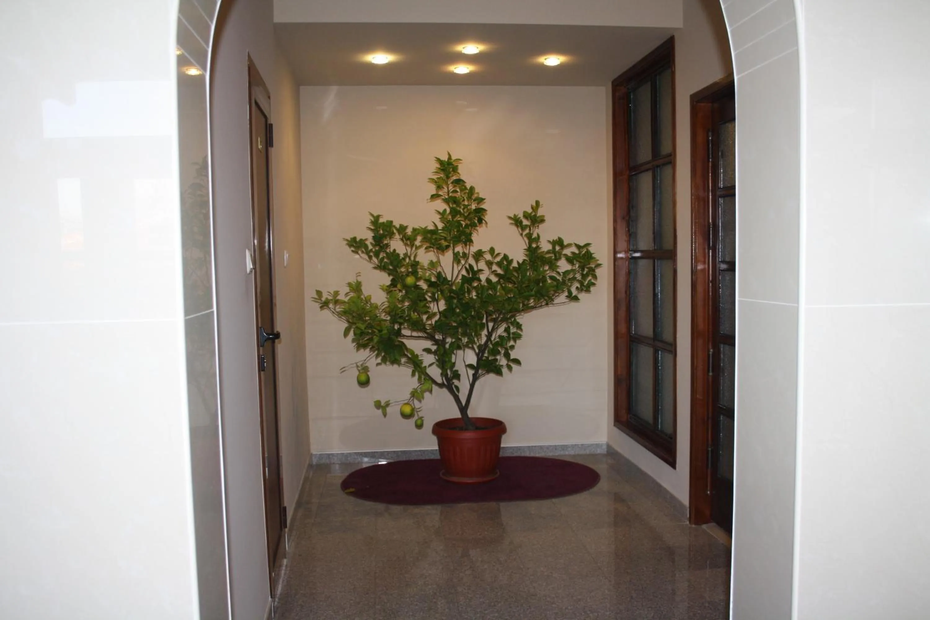 Decorative detail in Family Hotel Maraya