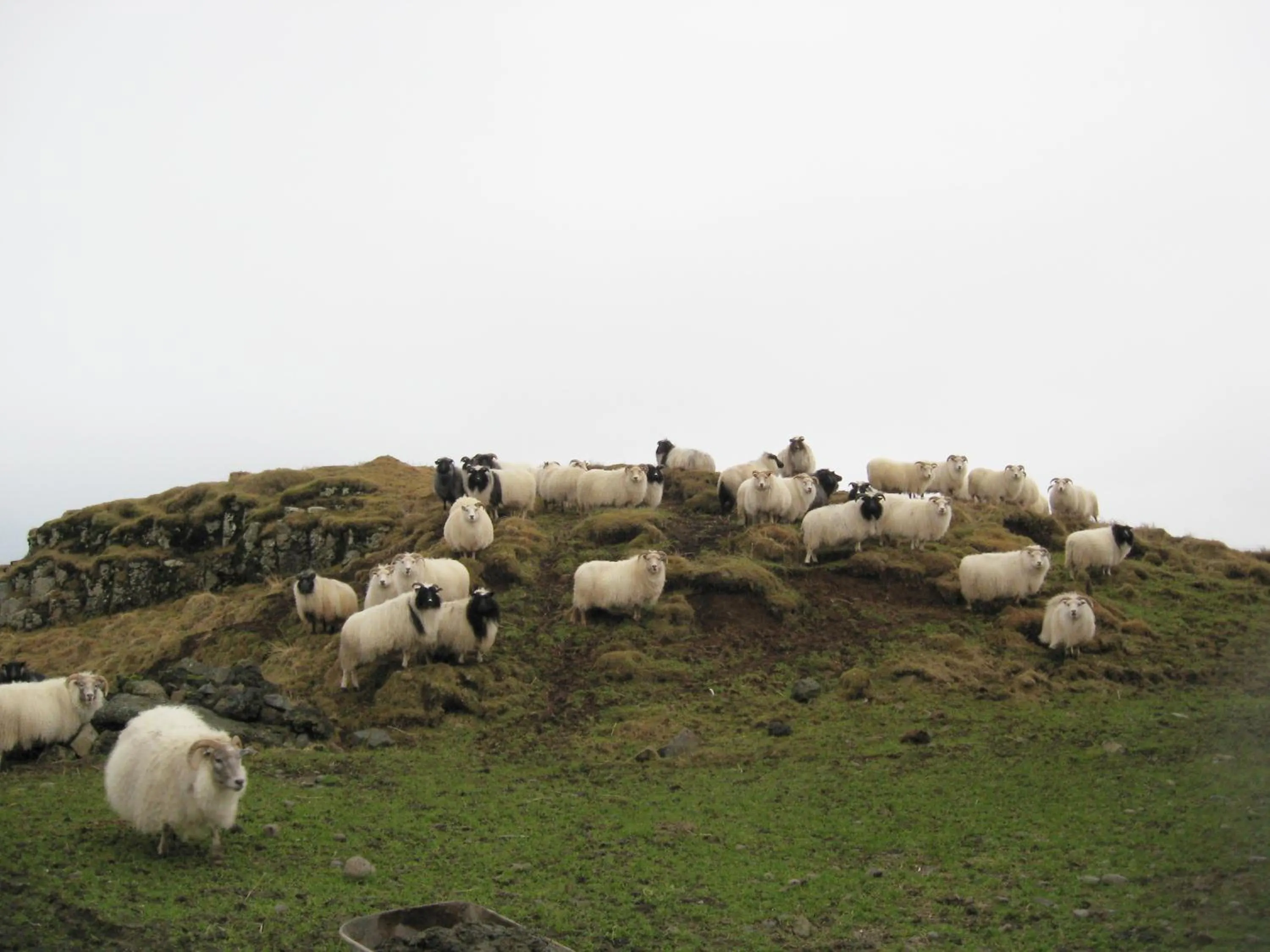 Nearby landmark in Lambastadir Guesthouse