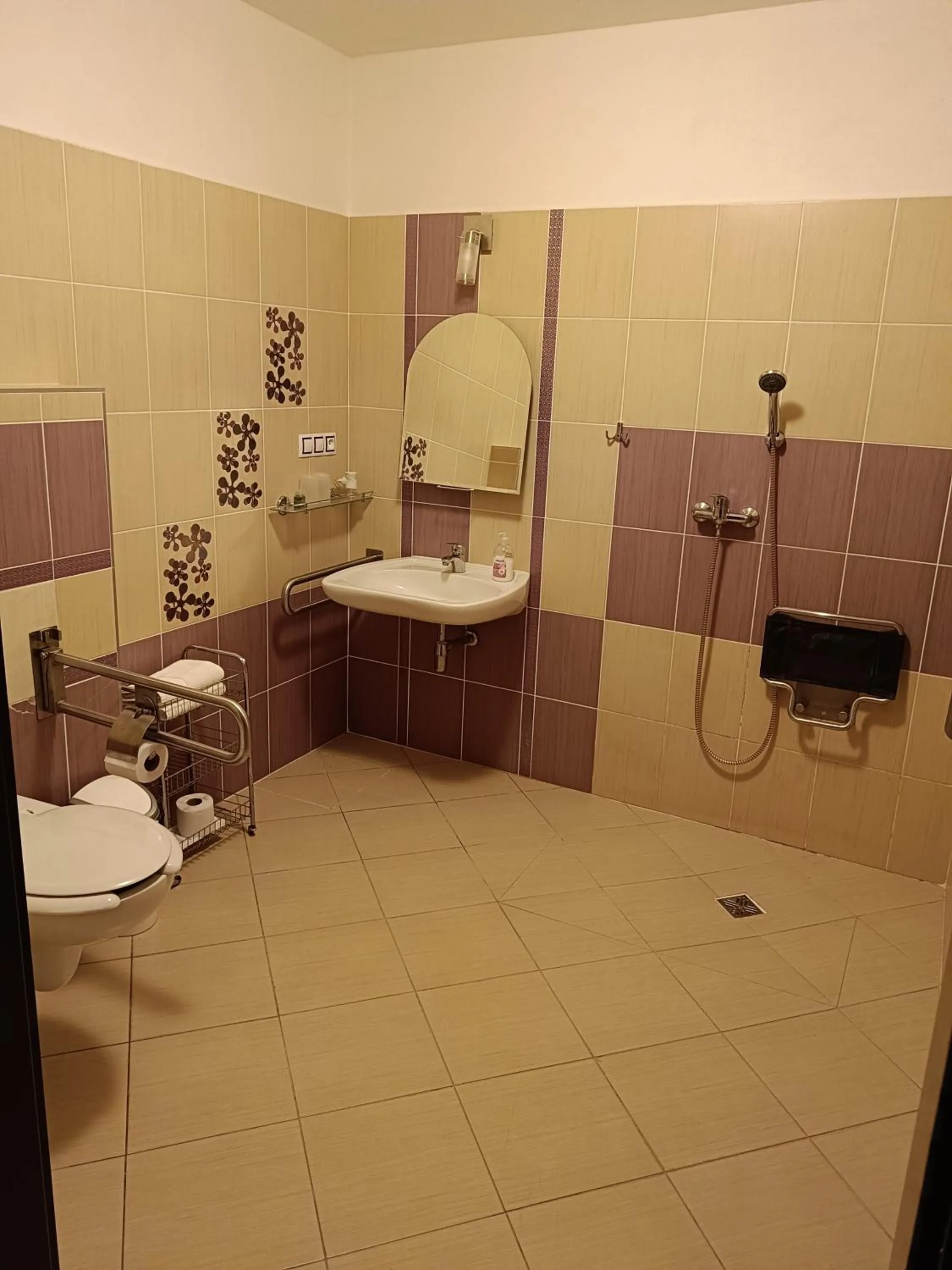 Facility for disabled guests in Toscca