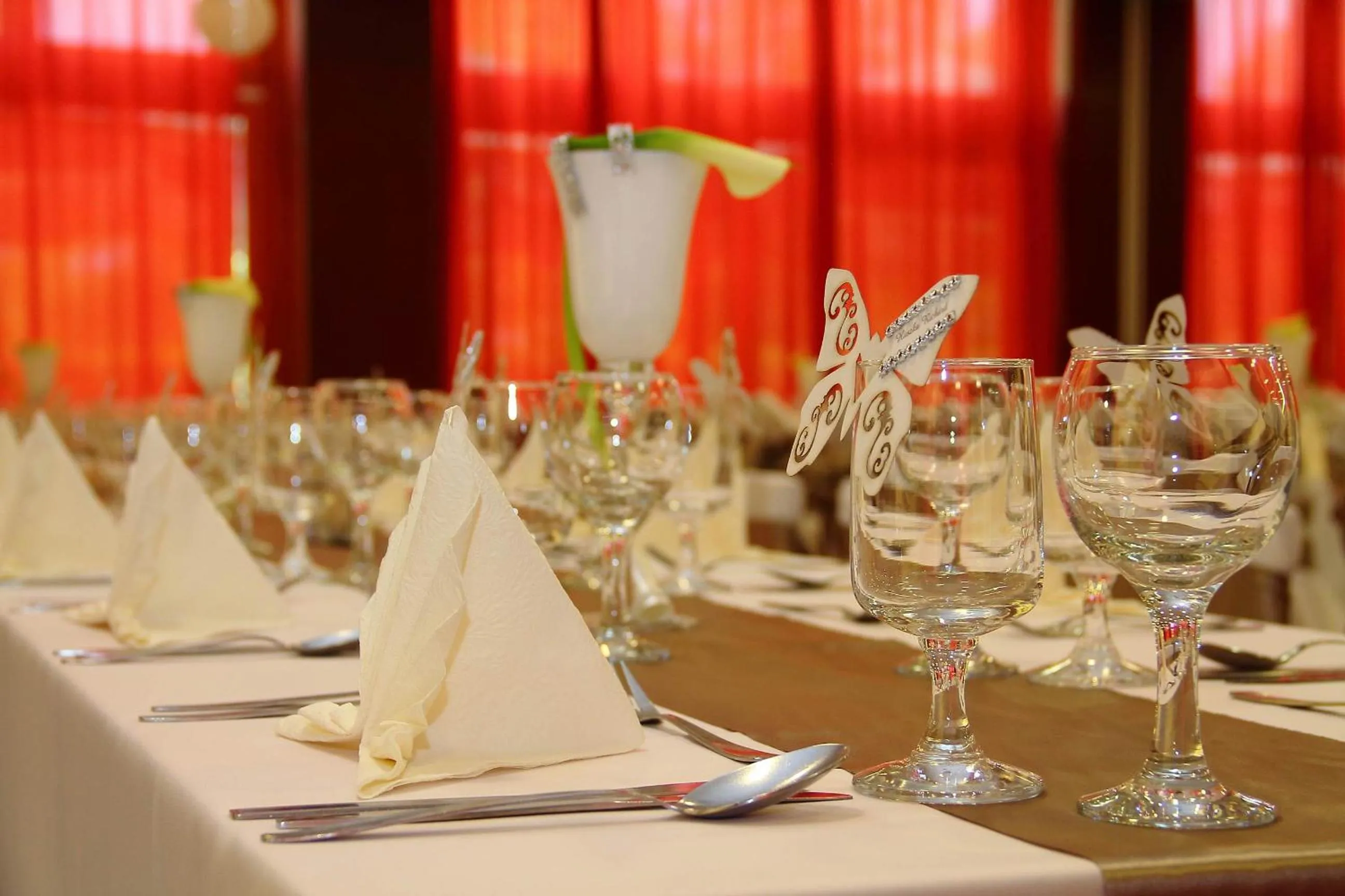 Banquet/Function facilities in Csipke Hotel