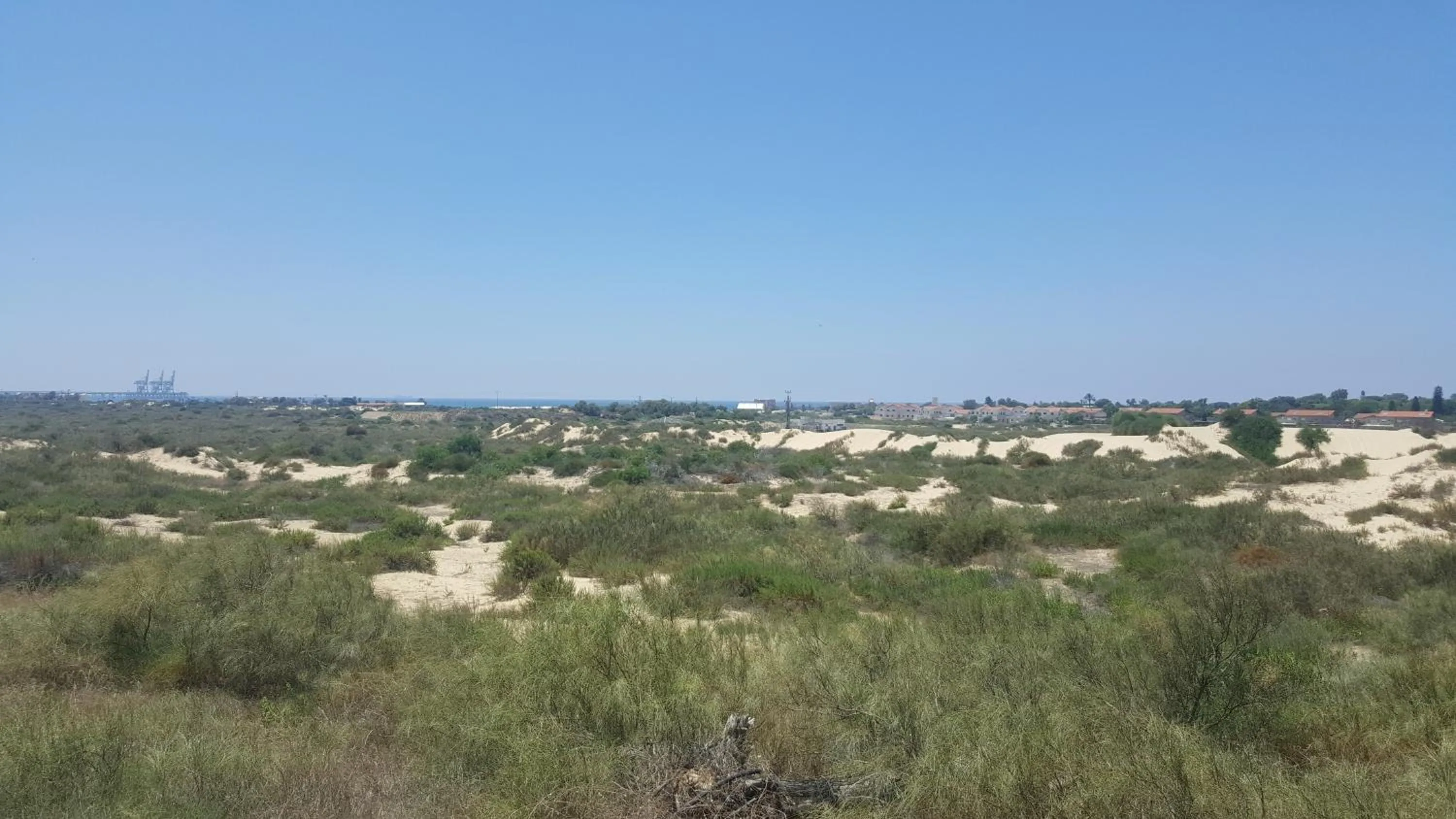 Neot Golf Caesarea Garden Apartment